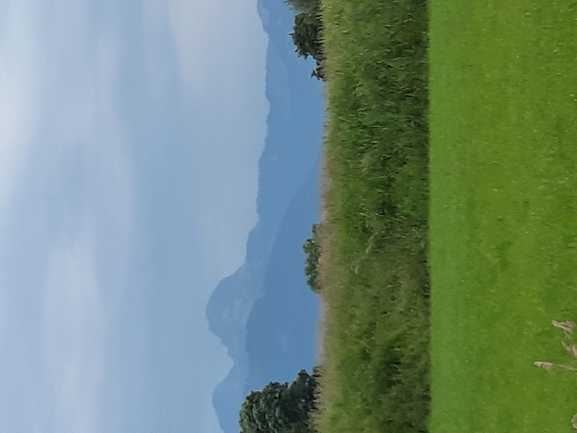 The image depicts a serene landscape with rolling green fields in the foreground and a range of hazy blue mountains in the distance under a pale blue sky. A line of tall green grass or reeds separates the two fields, with trees visible on the left and right edges of this grassy strip. The mountain range appears to be the Chiemgau Alps, suggesting the location is in or near Rosenheim, Germany, known for its proximity to these mountains. The overall scene is one of natural beauty and tranquility, with no human presence or activity visible.
