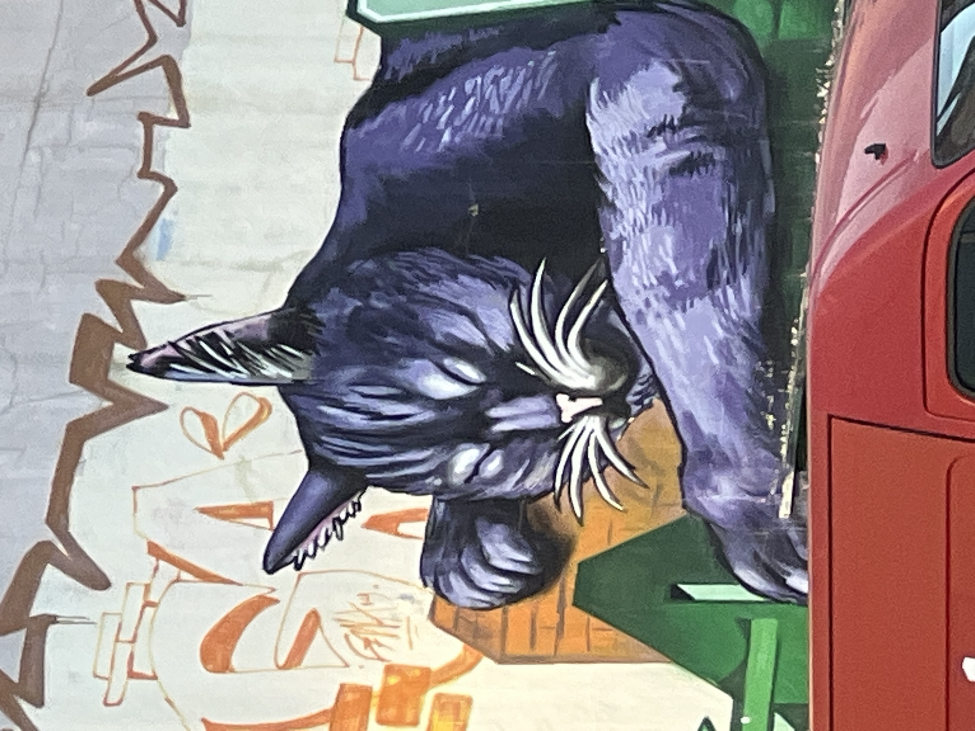 The image shows a graffiti mural of a large, purple cat sleeping on a brick structure. The cat is depicted with its eyes closed, whiskers prominent, and paws tucked beneath its head. The mural is on a wall with other graffiti elements, including orange letters and brown, jagged lines. In the foreground, the roof and part of the hood of a red vehicle, likely a van, are visible. This mural is located in Sofia, Bulgaria, on the exterior wall of the "The Cat and the Dog" theatre.