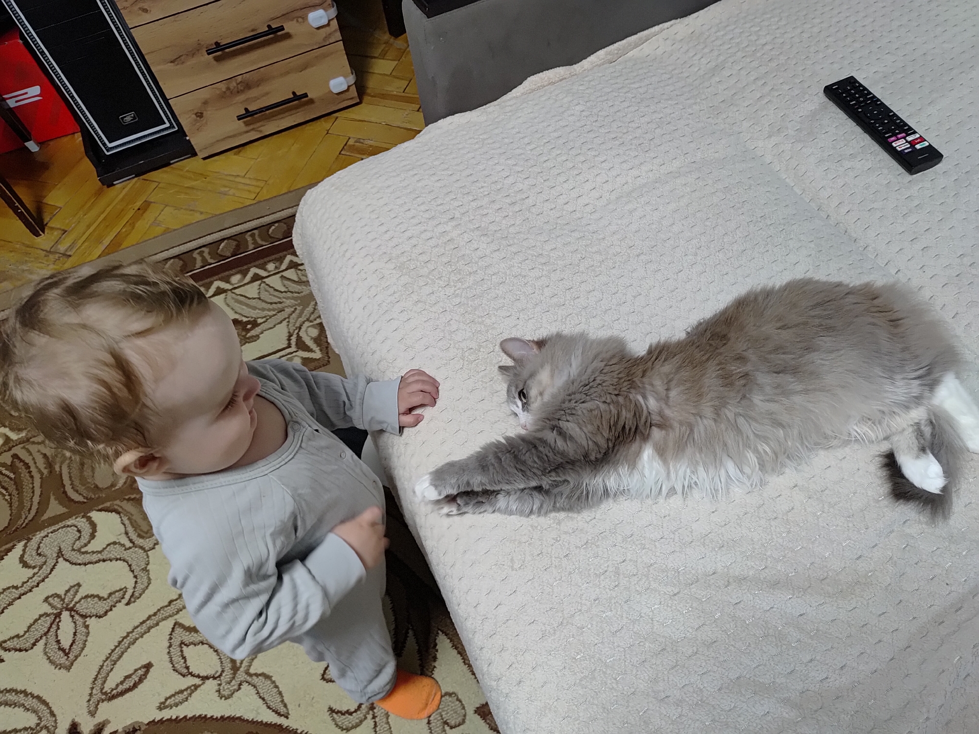 A top-down shot depicts a baby interacting with a cat on a bed. The baby, wearing a gray onesie and an orange sock, is positioned to the left of the frame, reaching towards the cat with its left hand. The cat, a long-haired gray and white feline, is stretched out on the off-white bed, looking at the baby. A black remote control lies near the upper right corner of the bed. The setting appears to be indoors, with a wooden dresser and a patterned carpet visible in the background. The location of the city of Марковский, Russia is provided.