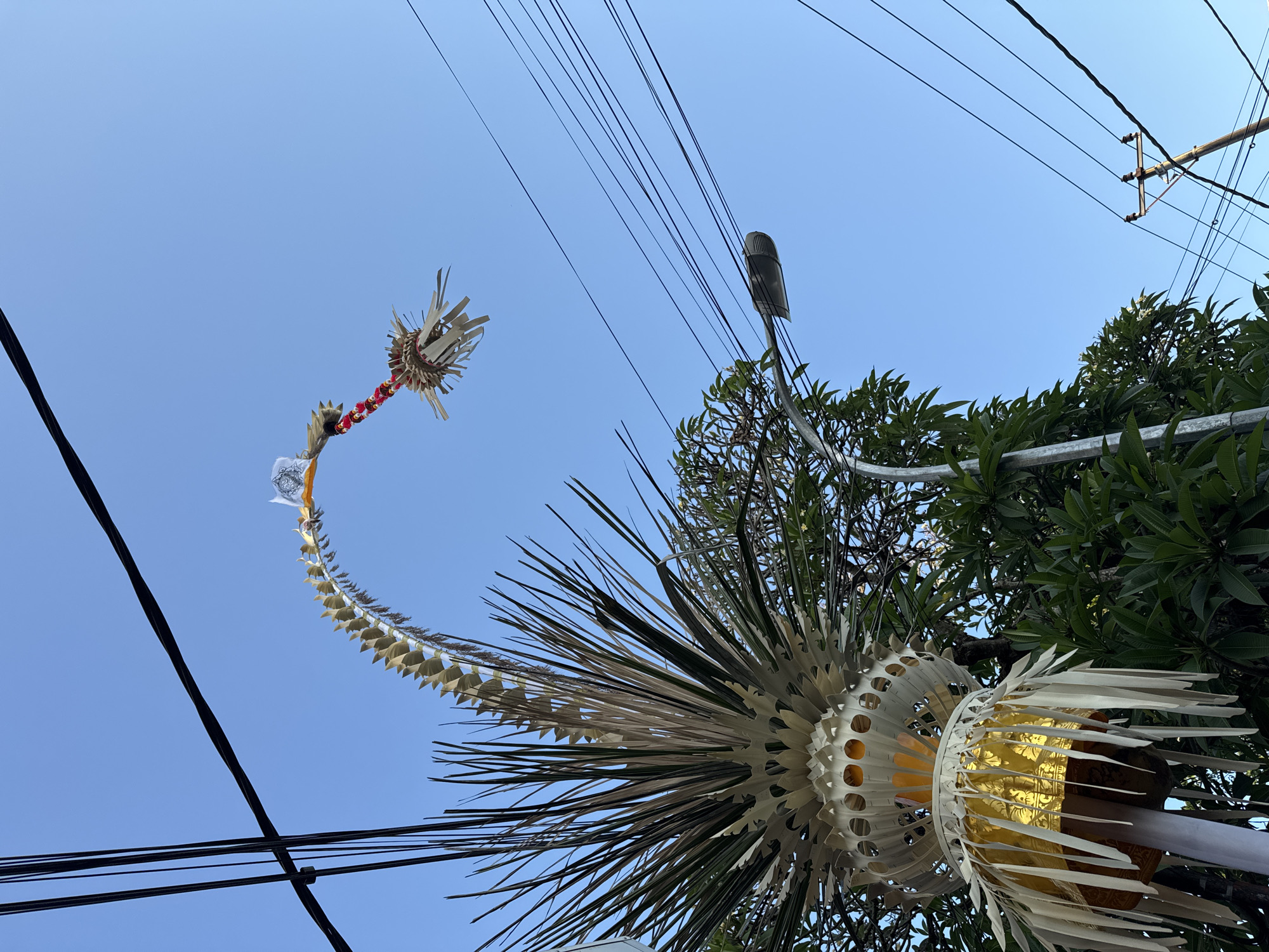 In Kuta, Indonesia, a tall, ornate decorative object, possibly a Penjor, arches upwards against a clear blue sky. The object features a base adorned with golden fabric and white, fan-like elements, topped with a long, segmented structure resembling a spine, decorated with natural materials like palm leaves and small red beads. Electrical wires crisscross the sky, and a street lamp is visible on the right side of the frame, partially obscured by the Penjor. Lush green foliage from trees fills the lower portion of the image. The perspective is looking up from ground level.