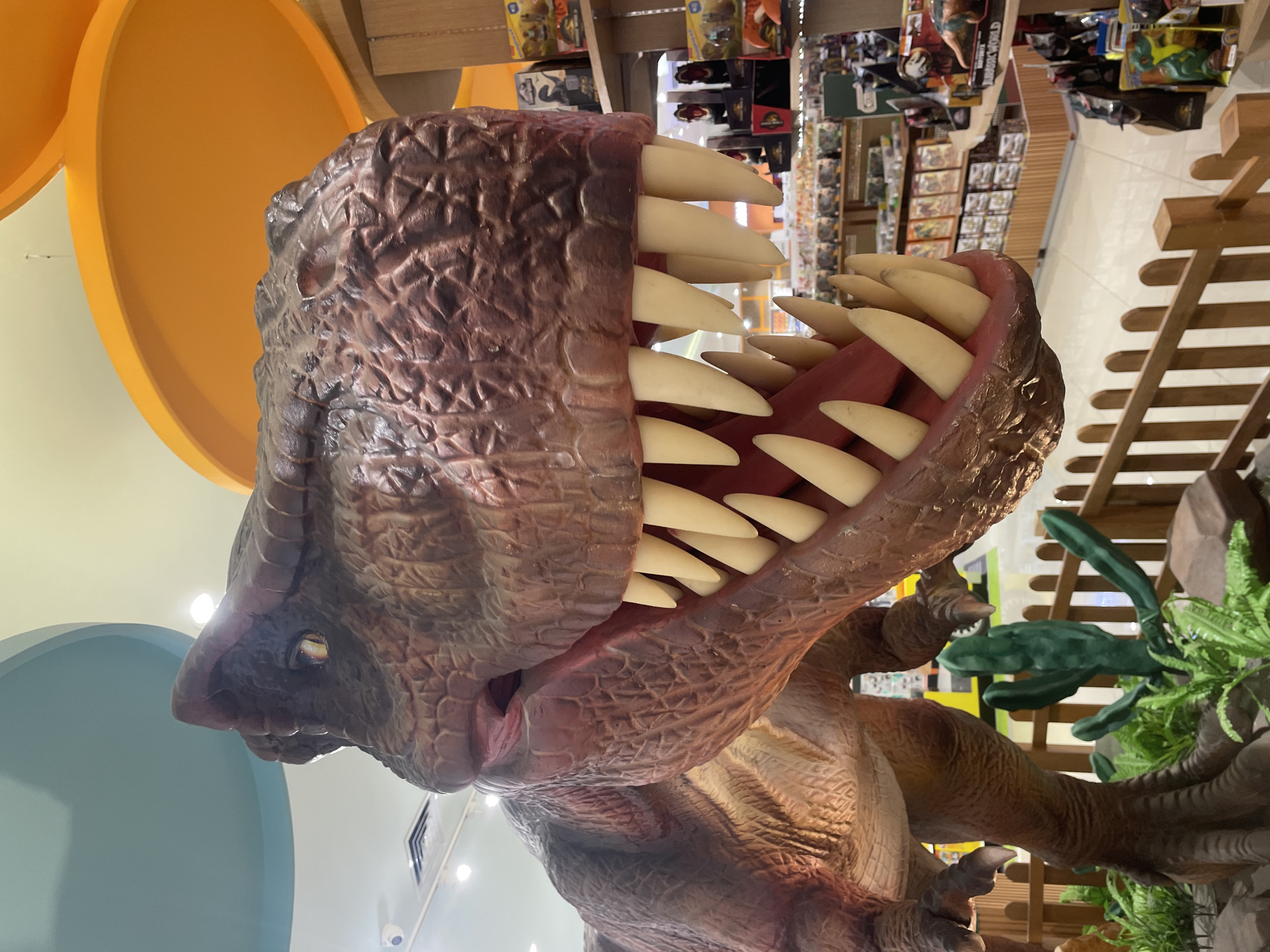 A close-up, low-angle view captures a large, life-sized animatronic model of a Tyrannosaurus Rex (T-Rex) with its mouth wide open, revealing rows of large, conical, off-white teeth and a red tongue. The T-Rex has textured, brownish-red skin. The model is positioned indoors, seemingly in a store or mall, as shelves filled with merchandise are visible in the background. To the right of the T-Rex are simulated plants. Part of an architectural structure of pale blue and yellow panels are visible in the background. The photo was taken in Denpasar, Indonesia.