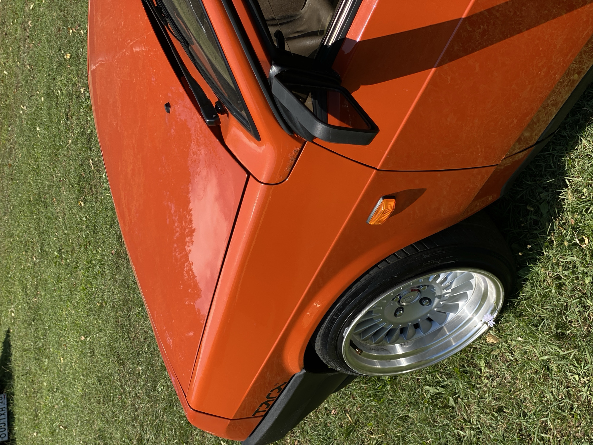 The image shows the front passenger side fender and hood of a bright orange car parked on a grassy area. The car has a black trim along the bottom edge of the fender, and the word "TRXX" is visible in black lettering on the fender. The car features a silver alloy wheel with a low-profile tire. A small purple flower is growing in the grass near the front wheel. The background consists of green grass with some patches of dirt and fallen leaves. The license plate of a vehicle is partially visible at the top left of the image, displaying "0U5TXH 26". The scene appears to be outdoors, likely in a rural or suburban setting. No people are visible in the image.