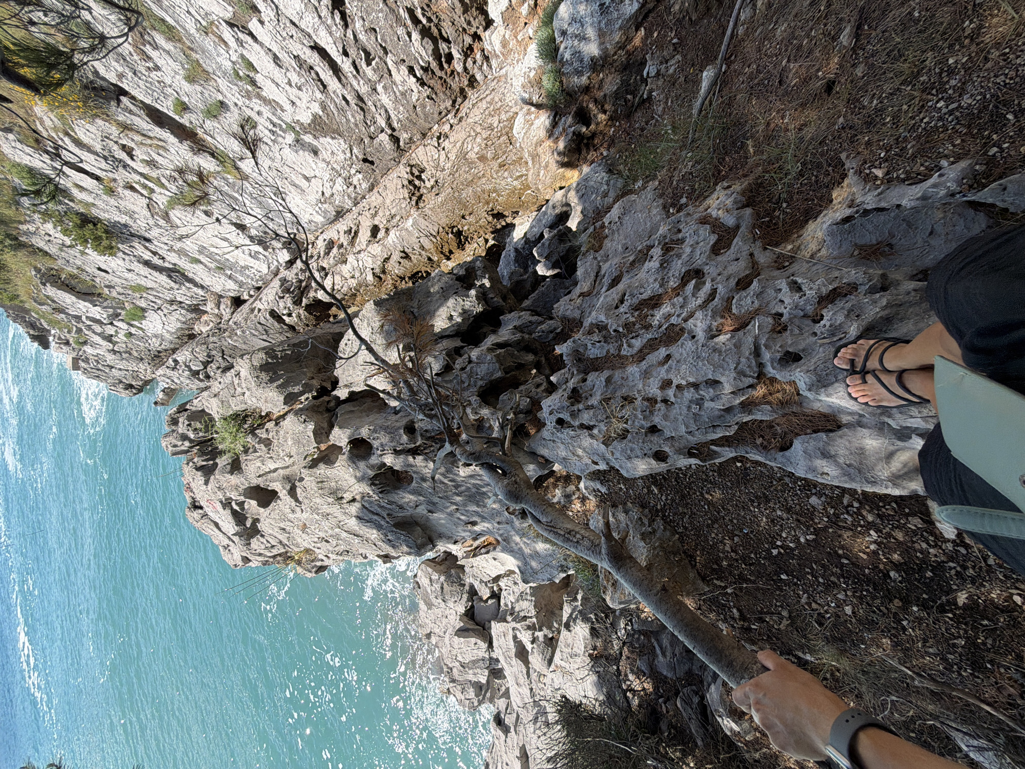The image presents a dramatic, vertically oriented view from a rugged cliffside, looking down towards a vibrant turquoise sea. The primary subjects include a vast rocky landscape, the clear sea, and a partially visible person.
The scene is dominated by steep, grey limestone cliffs with highly textured, eroded surfaces. These cliffs descend sharply towards the water, displaying various layers and fissures, interspersed with sparse, hardy vegetation like scrub bushes, dry grasses, and small trees with gnarled branches. The water below is a striking, clear turquoise, indicating shallow, calm conditions, with gentle ripples visible on its surface.
In the immediate foreground, to the right, a person's lower body is visible. Their bare feet are clad in black sandals, resting on a rough, rocky surface covered with loose soil and dry pine needles. They are wearing dark trousers, and a light blue or green object, possibly a bag, rests near their lap. The person's right hand firmly grasps a thick, weathered tree branch or stick that extends horizontally across the frame, likely used for support or as a walking aid. A dark grey smartwatch is visible on their wrist.
The image appears to be taken during the day under bright, clear sunlight, casting distinct shadows that emphasize the rugged topography of the cliffs. The weather is sunny. This scenic overlook, potentially in Boreti, Montenegro, captures a moment of observation or trekking along a high coastal path. There is no visible text in the image.