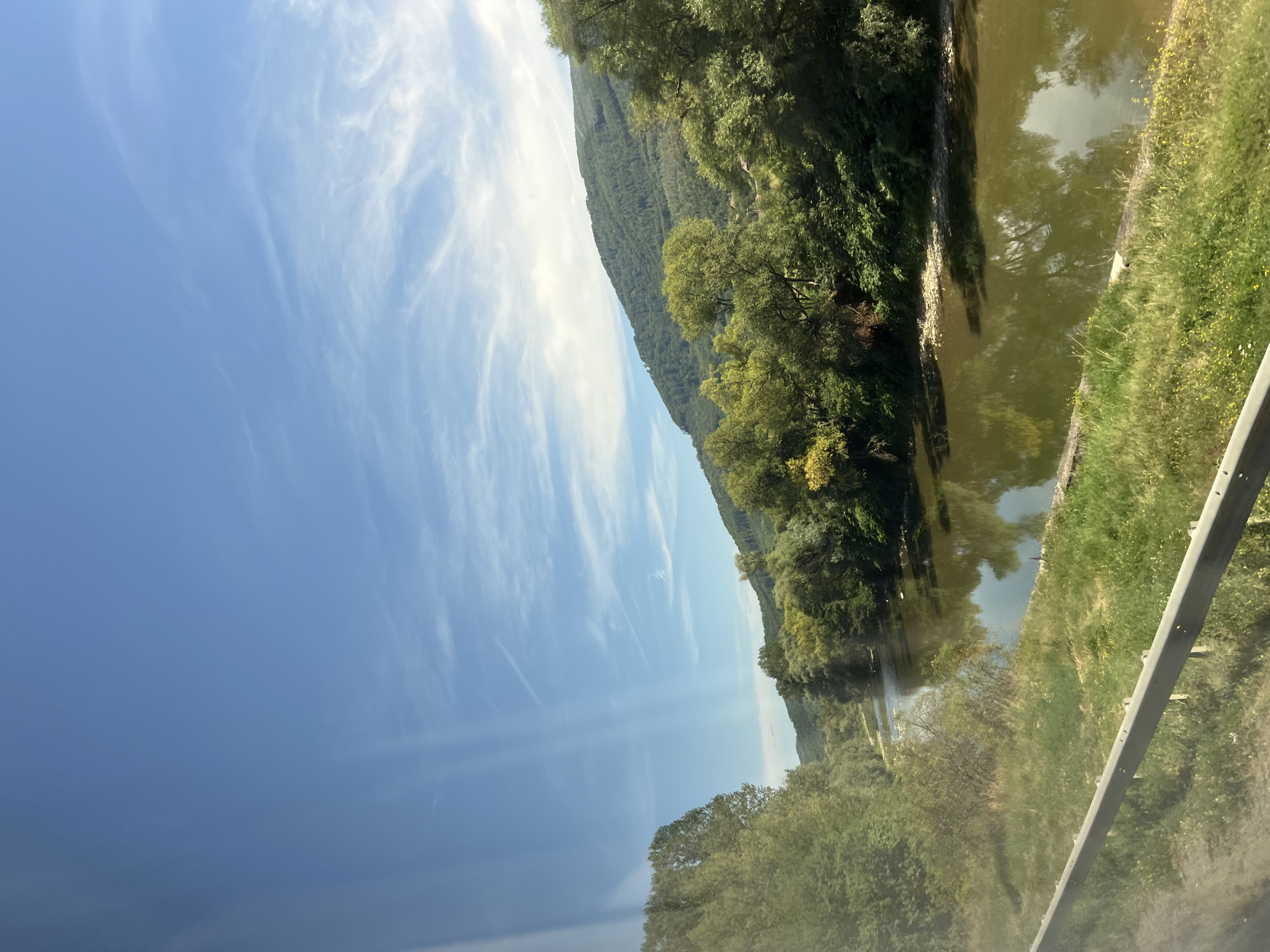 The image depicts a wide, slow-moving river bordered by lush green trees and a gently sloping, forested hill under a bright blue sky with wispy white clouds. The river's surface reflects the surrounding trees and the sky. In the foreground, a metal guardrail runs along a grassy embankment dotted with small yellow flowers. The scene appears to be a natural landscape, likely on the outskirts of Suskovo, Ukraine, given the presence of a river and rolling hills characteristic of the region. There are no people or animals visible in the image, and no specific actions or interactions are taking place. The overall impression is one of peaceful natural beauty on a sunny day.