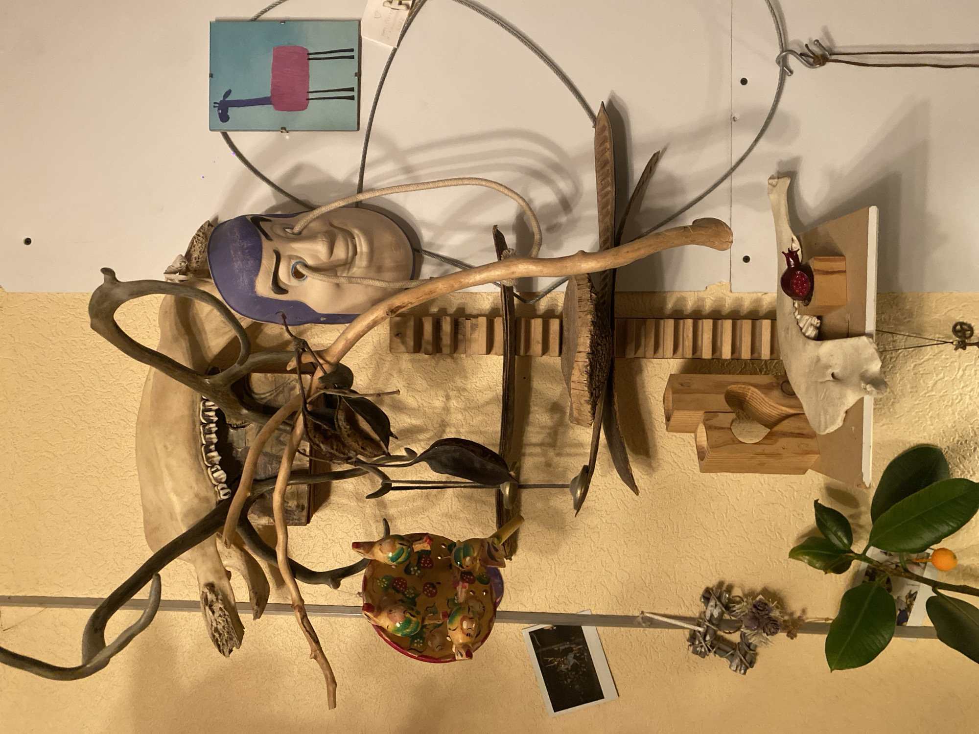 An indoor scene within the city of Khimki, Russia, presents a wall-mounted assemblage of diverse objects against a two-toned wall. The left portion of the wall is textured, light beige, while the right portion is a smooth, plain white panel.
Centered in the upper section is a large animal skull, possibly cervine or bovine, with visible teeth in the upper jaw, mounted on the beige wall. Several dark, gnarled branches, some resembling antlers, protrude around and from behind the skull. To its lower right, affixed to the white panel, is a beige-colored mask with purple hair, resembling the character Buzz Lightyear, from whose eye sockets hang two beige ropes. To the right of the mask, a small, turquoise rectangular panel displays a stylized pink llama-like figure with black legs. A thin, light-colored bone fragment is positioned to the left of the mask.
The central part of the display features a complex arrangement of natural and crafted items. A decorative circular wooden plate, adorned with painted bird figures and berries, hangs on the beige wall. Below it, a dark, elongated seed pod hangs by a string. A vertical structure composed of stacked wooden slats, resembling a small ladder, is affixed to the wall. Numerous branches and irregular pieces of unfinished wood are integrated into this central display. A long, light-colored branch curves downwards and to the right. Thin metal cables are stretched horizontally across the white panel, looping downwards in sections and anchored at various points. A small, framed black-and-white photograph hangs on the beige wall below the decorated plate. Below the photograph, a small wreath-like object made of twigs and dried botanicals is suspended.
In the lower section, a plant with dark green leaves and a single orange fruit (resembling a kumquat) is visible in the bottom-left foreground, partially obscuring the beige wall. A small metallic charm, resembling a key, hangs by a string below the plant. On the right, a narrow, light-colored shelf is attached to the white panel. Resting on this shelf is a light-colored bone fragment, possibly part of a pelvis or jaw. Adjacent to it, a small wooden block holds a cluster of red, granular material, consistent with pomegranate arils or small berries. Further to the right, partially visible, are two carved wooden objects, one with a heart-shaped cutout, likely decorative or functional candle holders. A metal hook hangs from one of the horizontal cables on the white panel, from which a brown string descends.
The scene is static, depicting no human figures or direct actions.