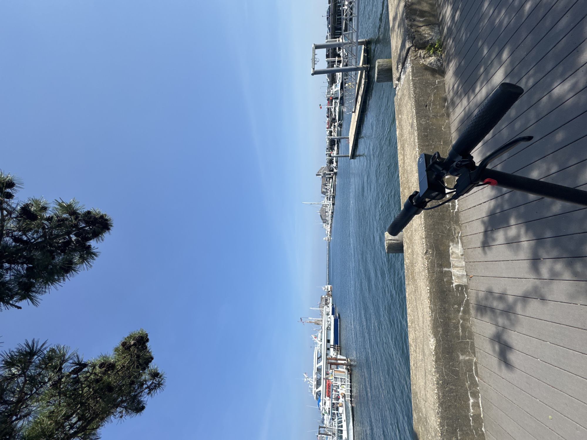An eye-level, full shot captures an outdoor scene on a sunny day, showcasing a marina with boats and a clear blue sky. In the foreground, the handlebars and part of the frame of a black electric scooter are visible, angled slightly to the right. The scooter is positioned on a wooden deck, which is made of gray planks laid parallel to the bottom of the frame and casts dappled shadows from overhead foliage.
Beyond the deck, a concrete barrier runs horizontally across the middle ground, showing signs of age and wear with visible cracks and discoloration. This barrier separates the deck from the water of the marina.
The marina itself is filled with numerous boats of various sizes, docked in neat rows. Larger yachts and smaller vessels are interspersed, with masts and superstructures of white and blue dominating the scene. The water is a deep blue, calm and reflecting the clear sky.
In the distance, a long pier extends into the marina, with more boats docked alongside it. The far horizon features a faint line of structures and a distant bridge or structure. Overhead, the branches of a pine tree with pinecones are visible in the upper left corner, framing the bright blue sky. The overall atmosphere is serene and bright, suggesting a pleasant day at a harbor.
