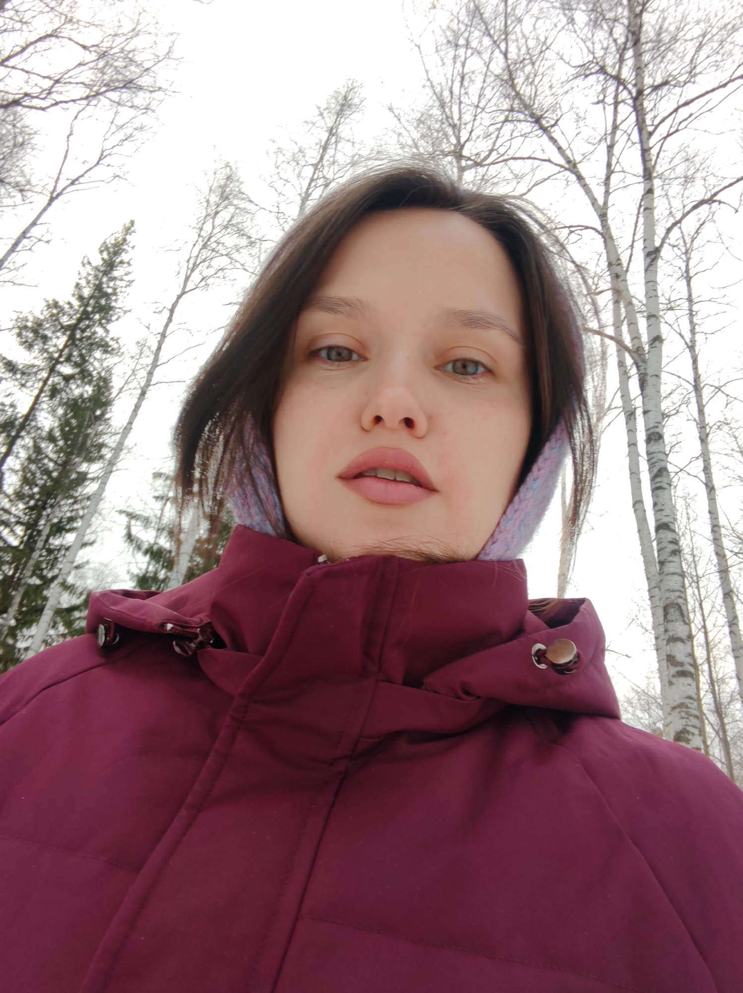 A young woman is captured in a close-up, upward-angled selfie, set against a backdrop of a winter forest. She has fair skin, dark brown hair parted on the side, and her gaze is directed straight at the viewer with a neutral expression. Her eyes appear to be a mix of green and brown. Her lips are full and slightly parted, showing a natural pinkish hue. She is wearing a maroon or dark reddish-purple puffer jacket with the collar pulled up, suggesting cold weather. Light-colored, possibly knitted, ear warmers or a headband are visible on the sides of her head, peeking out from under her hair.
The background consists of a dense forest with tall, bare deciduous trees, primarily birches with their characteristic white and dark-marked trunks. On the left side of the frame, darker coniferous trees are also visible. The sky is bright and overcast, indicating a cloudy daytime. The trees are devoid of leaves, strongly suggesting the setting is late autumn or winter. The overall impression is one of a cold, outdoor environment. The setting, combined with the location context, points to a natural landscape in Ust-Ilimsk, Russia. There is no visible text in the image.