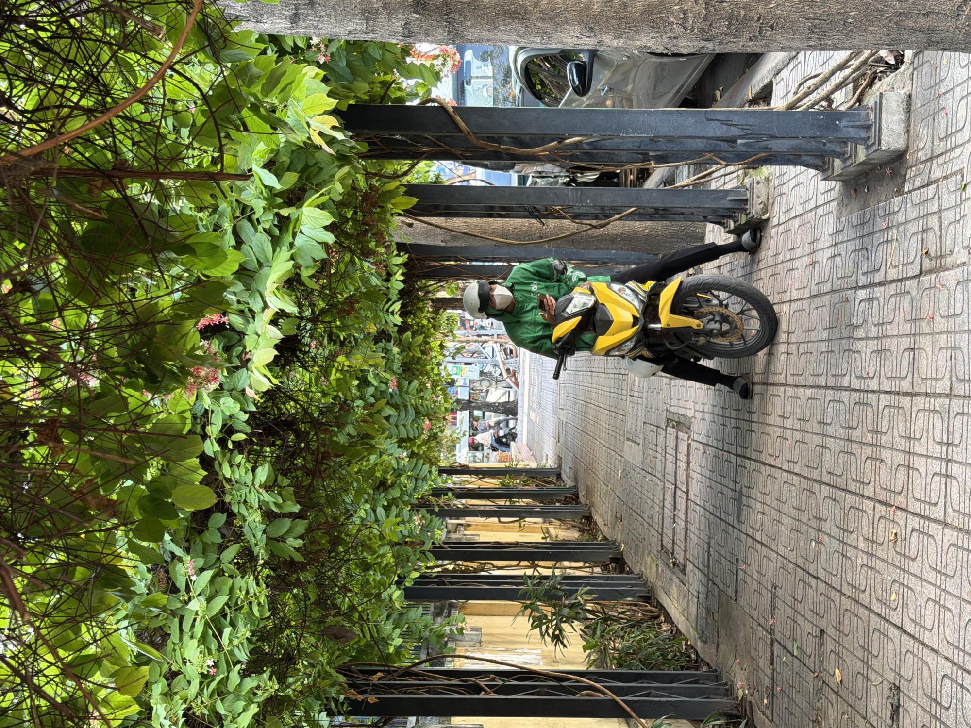 A person wearing a green jacket, white helmet, and face mask sits on a yellow motorcycle. They are holding a smartphone. The motorcycle is parked on a sidewalk made of patterned tiles. The sidewalk is covered by an overhead canopy of green leaves and vines. In the background, there is a yellow wall and other motorcycles. The scene appears to be in a city, likely Nha Trang, Vietnam, given the vegetation and architecture.