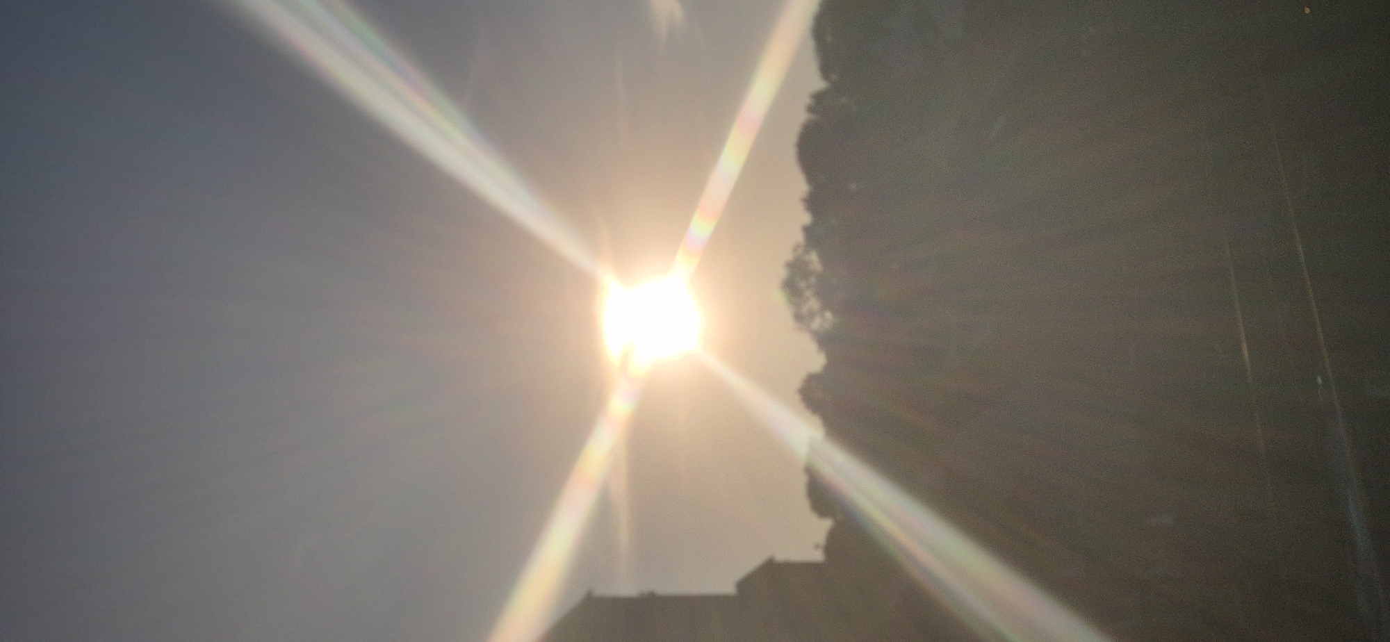 The image depicts a silhouetted view of the city of Mainz, Germany, at sunset. The sun is prominently positioned in the center, creating a lens flare effect that radiates outwards in a cross shape. A tower-like structure, likely a building in Mainz, is visible on the left side, silhouetted against the bright sky. In the foreground, a dark, blurred landscape of trees and possibly a road or railway line is discernible. The overall impression is of an urban scene bathed in the warm, diffused light of a setting sun, with a notable optical phenomenon caused by the sun's glare.