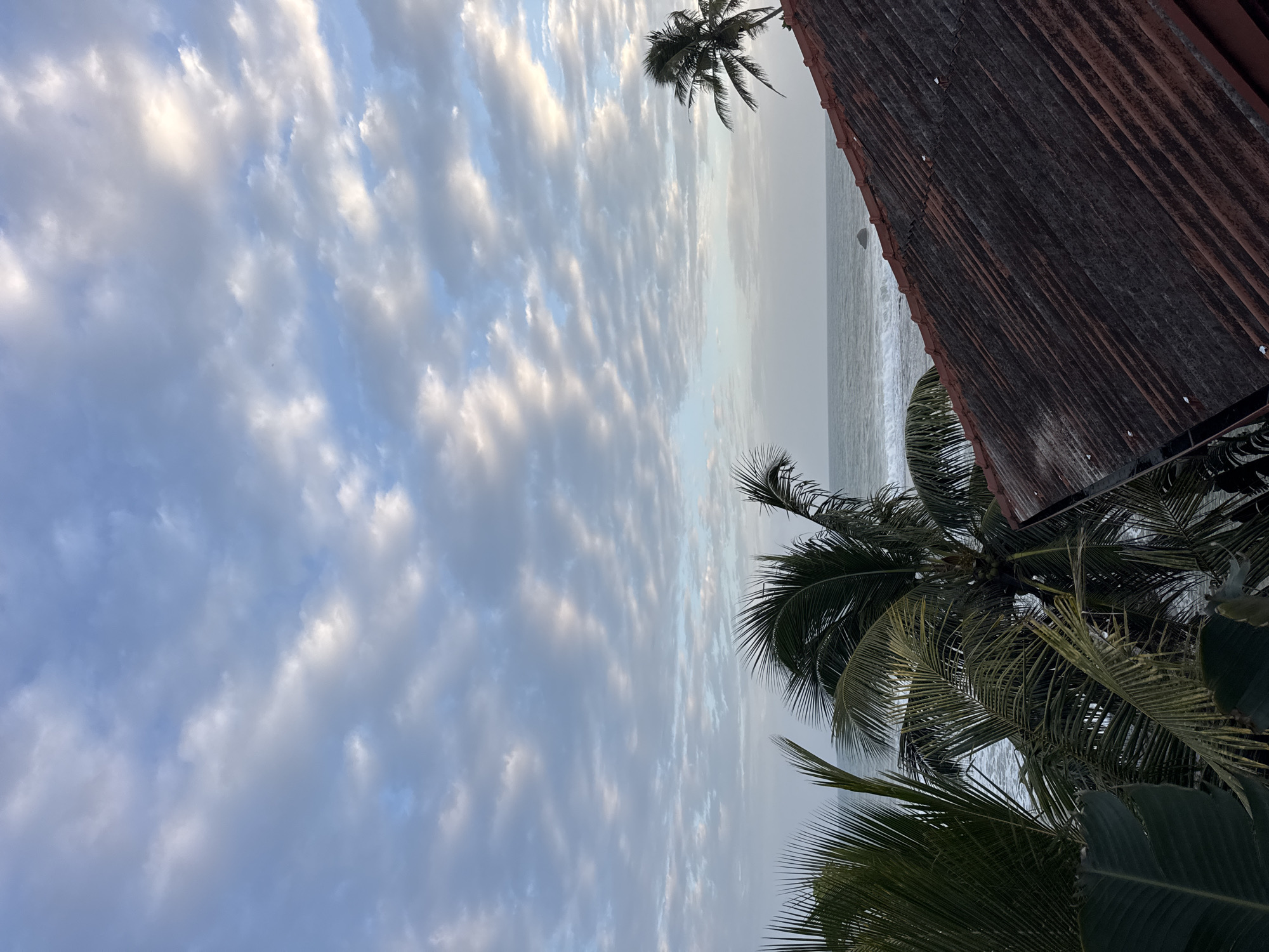 This media file captures a serene, tropical scene from Goviyapana, Sri Lanka. The primary subjects are the sky, the ocean, and elements of the natural environment, including palm trees.
The image is oriented vertically, with the sky occupying the majority of the frame. It is filled with a variety of clouds, ranging from wispy, scattered formations to denser, textured patches. The light suggests either early morning or late afternoon, as the sky exhibits a soft, diffused illumination with hints of warmer tones mixed with cooler blues and grays.
Below the sky, the ocean stretches out towards the horizon, appearing calm with gentle waves. The water is a muted gray-blue, consistent with the overcast or twilight lighting.
In the foreground and to the right of the image, there are glimpses of tropical vegetation, specifically palm fronds, indicating a lush, coastal setting. A portion of a weathered, reddish-brown corrugated roof is also visible, suggesting a dwelling or structure is present.
The overall mood of the image is tranquil and peaceful. The soft lighting and the gentle interplay of sky and sea evoke a sense of calm. There is no discernible activity or event taking place, suggesting a moment of quiet observation. No text is visible in the image. The location cues, such as the palm trees and the ocean, along with the provided location context, strongly point to a tropical coastal environment in Sri Lanka.