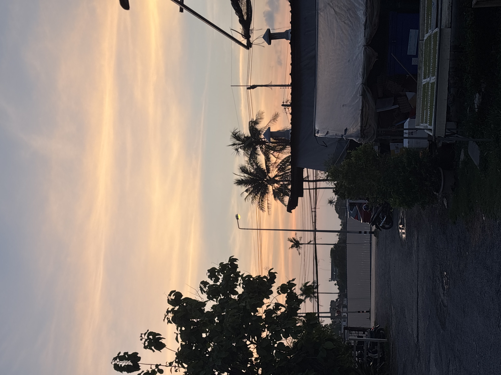 The image captures a serene street scene in Choeng Thale, Thailand, during either sunrise or sunset. The sky, which occupies the upper half of the frame, displays a beautiful gradient of warm golden-orange and soft pinks on the right, blending into a cooler, pale blue on the left, with faint, elongated cirrus clouds stretching horizontally.
In the mid-ground, several tall palm trees are silhouetted against the colorful sky, their fronds distinctive of a tropical climate. Utility poles with numerous overhead wires traverse the scene, and a street light fixture is visible among them. On the right, a structure, possibly a building or large stall, is partially covered by a dark, possibly tarped, roof. Below this structure, a white-framed window or lattice-like element is discernible.
The foreground on the left features a large, bushy tree with dense foliage, its branches extending into the frame. An asphalt road or path, appearing to be somewhat unpaved, runs across the lower portion of the image. A motorcycle is parked on the side of this path on the right. Lush green vegetation and bushes line the road, contributing to the tranquil atmosphere. The overall soft, low-angle light enhances the peaceful character of the scene. No specific activities are taking place, and no legible text is visible.