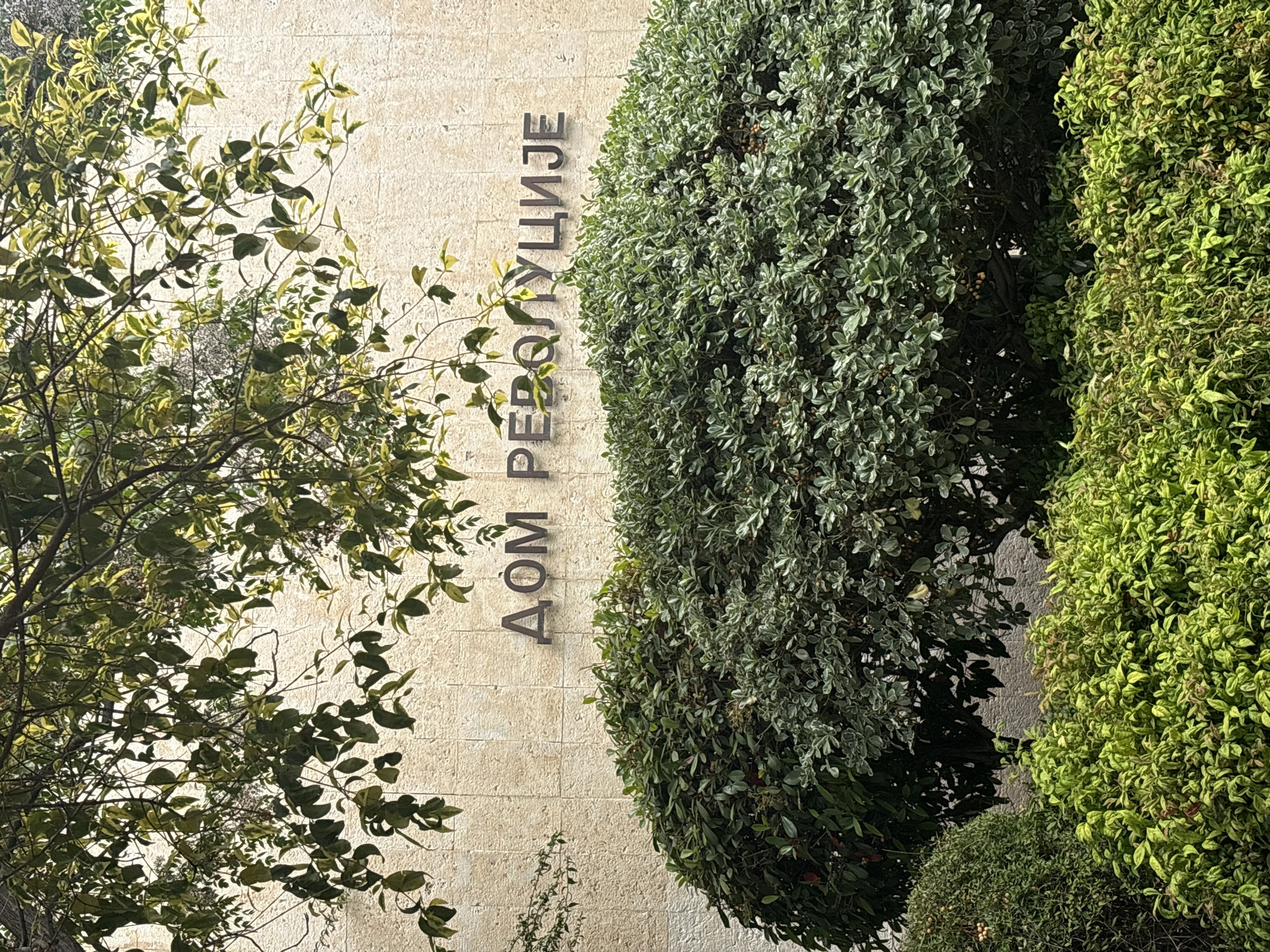The image shows a building facade with the Cyrillic inscription "ДОМ РЕВОЛУЦИЈЕ," translating to "House of the Revolution." This building is located in Bar, Montenegro. To the left of the building, there's a tree with green and yellow leaves. To the right, there are two bushes, one with lighter-colored leaves and the other with darker green leaves. The facade is light-colored with a textured, brick-like appearance.