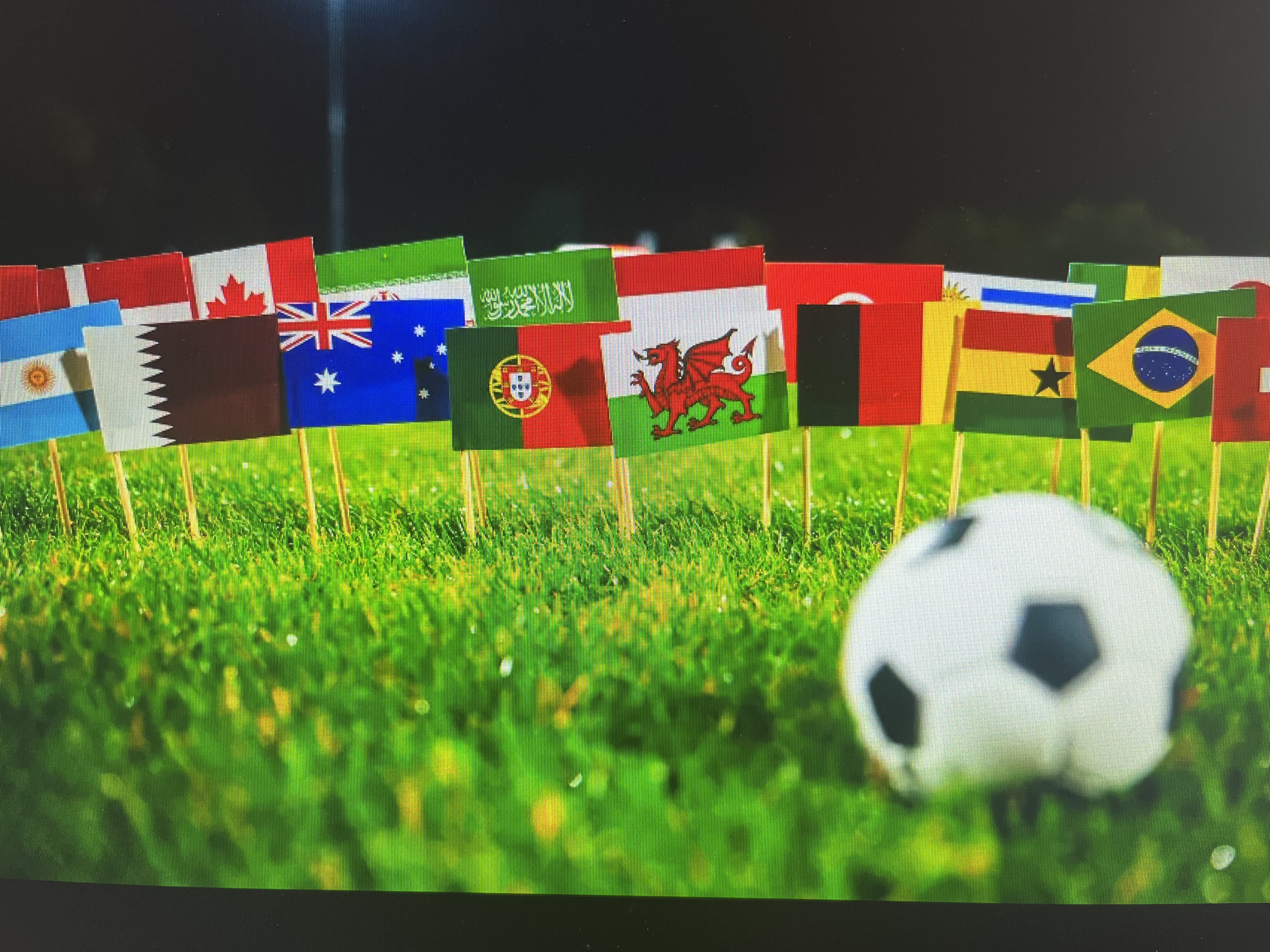 The image shows a close-up, eye-level view of a grassy field with several national flags on sticks planted in the ground. In the foreground, a soccer ball is partially visible on the right side of the frame. The flags appear to be from different countries, including Argentina, Canada, Iran, Australia, Portugal, Wales, Ghana, and Brazil, among others. The background is dark and out of focus, suggesting it is nighttime or a very dimly lit setting. There are no people visible in the image. The scene is set on a green, well-maintained grassy surface, typical of a sports field. The flags are arranged in a row behind one another, creating a sense of depth. The lighting is focused on the flags and the foreground, with the soccer ball also being illuminated. The overall impression is one of preparation for a sporting event or a display of international unity. The location in the city of Varna, Bulgaria is not discernible from the image itself, as there are no landmarks or specific environmental cues that would indicate its geographical placement.