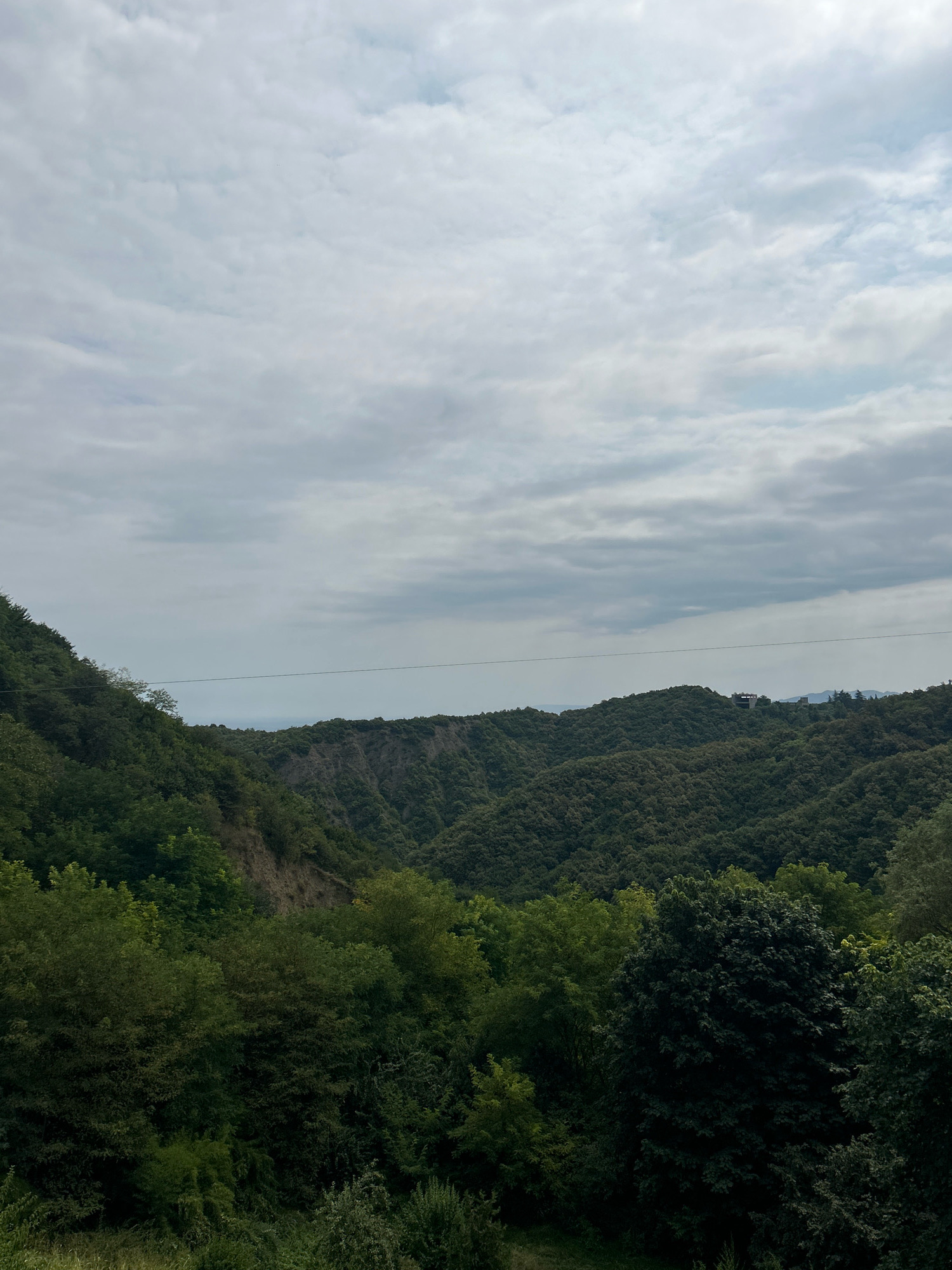 The image depicts a vast, forested valley under a cloudy sky. The foreground is dominated by lush green trees, with some taller, darker trees in the center. Beyond the immediate foliage, rolling hills covered in dense, dark green forest stretch into the distance. A steep, eroded cliff face is visible on the left side of the valley. A thin, dark line, possibly a power line or cable, stretches horizontally across the middle ground. In the far distance, on top of one of the ridges, there appear to be some structures and a few scattered trees. The sky is overcast with a pattern of light and darker gray clouds. The scene is devoid of any human activity or discernible landmarks that would specifically place it in Sighnaghi, Georgia, though it is consistent with the general landscape of the region.