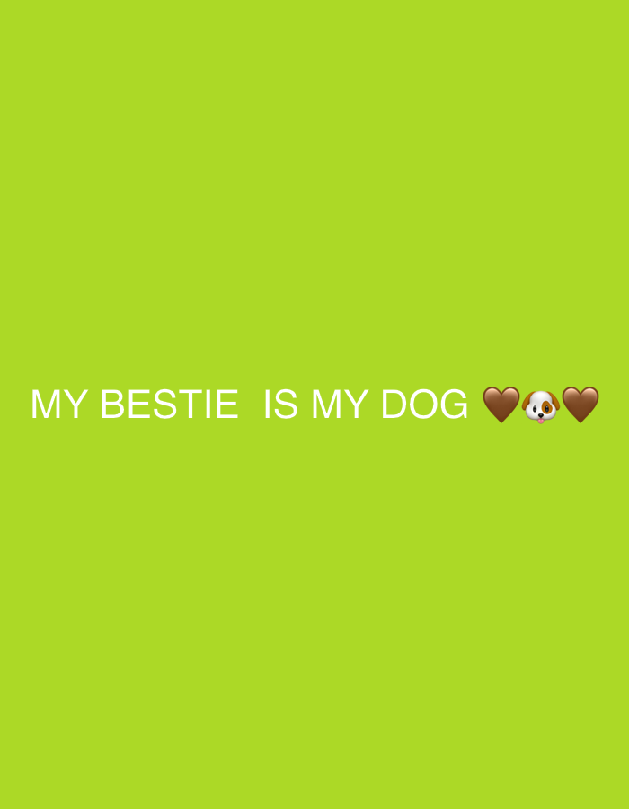 The image is a digital graphic with a bright green background. Centered horizontally and towards the bottom of the frame, white text reads "MY BESTIE IS MY DOG". To the right of the text are three emojis: two brown hearts and a dog face emoji. There are no people or any discernable environmental features that could indicate a specific location in Marum, Netherlands or elsewhere.