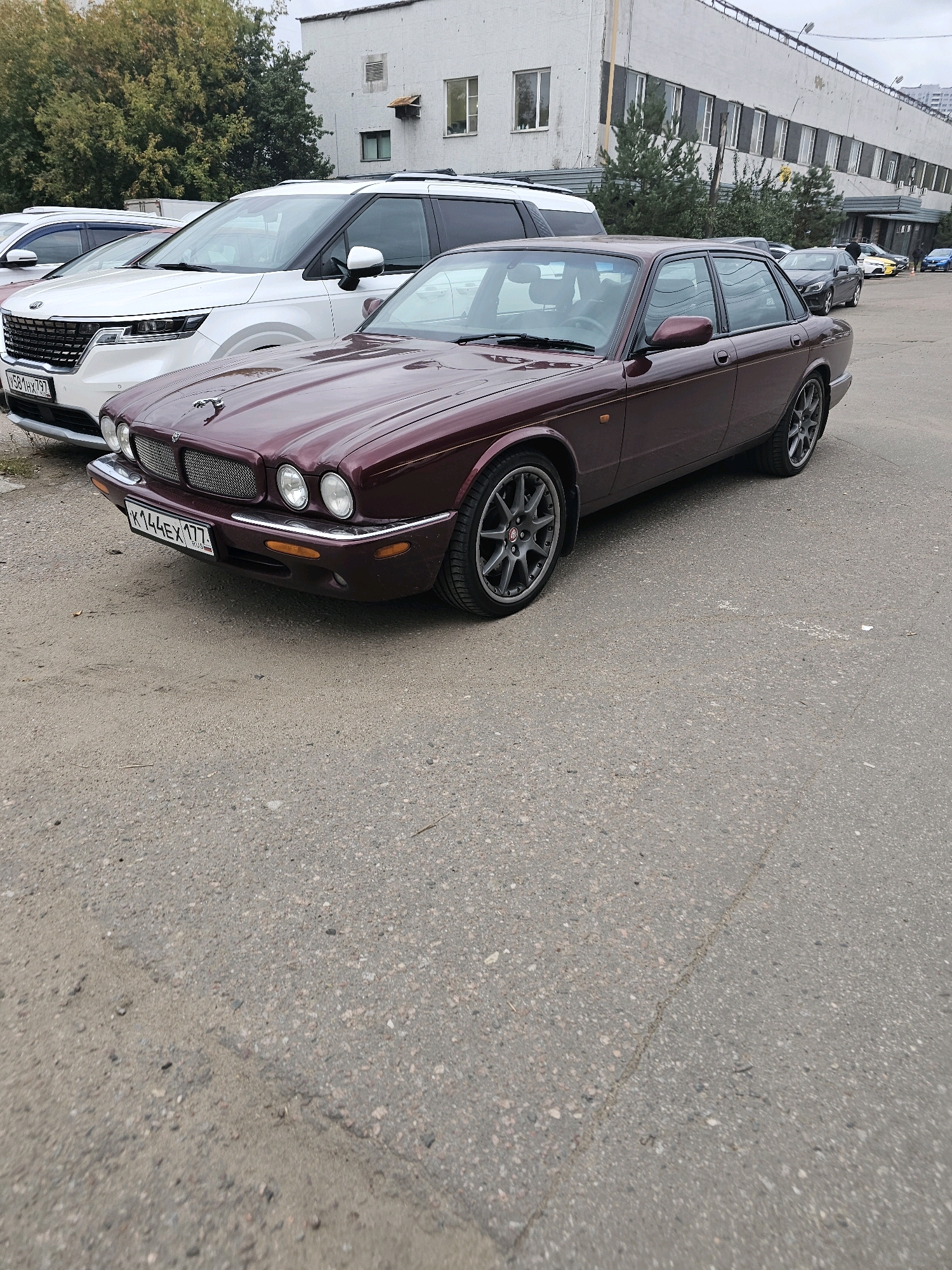 An elevated, eye-level, outdoor, medium shot captures a dark red Jaguar XJ sedan parked on a cracked asphalt surface. The car faces left, angled slightly towards the viewer, with its front right tire and fender prominently displayed. Behind the Jaguar, a white Kia Carnival minivan is parked, partially obscured. Further in the background, a long, light-colored industrial building with multiple windows and an uneven roofline stretches across the frame, suggesting an urban industrial area. Several trees with green foliage are visible between the cars and the building. The sky is overcast and gray. The license plate of the Jaguar reads "K144EX 177 RUS". The scene appears to be a parking lot or roadside within the city of Moscow, Russia.