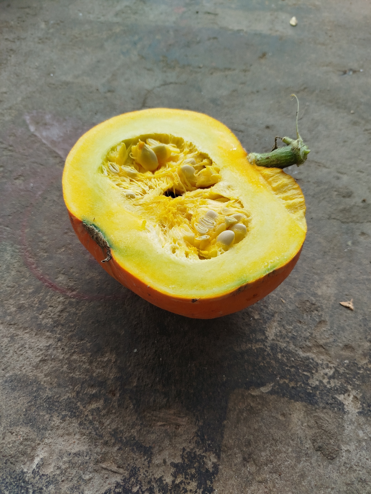 A close-up, high-angle shot features a halved pumpkin resting on a textured concrete surface. The pumpkin, orange on the outside, is a vibrant yellow inside, with visible seeds and fibrous pulp. A green stem with a curled tendril protrudes from the top right of the pumpkin. The concrete surface appears weathered and uneven, with variations in color and texture. The image was captured in Крывасельскі сельскі Савет, Belarus.
