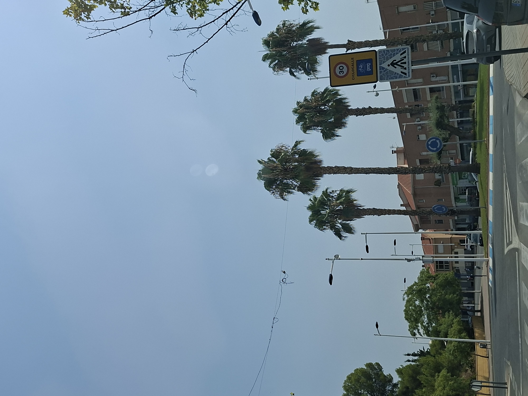 This image depicts an outdoor scene with a clear, pale blue sky. The foreground is dominated by several tall palm trees, their fronds rustling slightly. A tree branch with green leaves extends from the top left corner of the frame.
In the background, there are buildings with beige and brown facades, some with balconies and shutters. A street runs along the right side of the image, with a pedestrian crossing marked by white stripes. Several lampposts line the street. There are also traffic signs visible: a yellow sign with "30 CICLOCALLE" and a bicycle and bus symbol, indicating a speed limit of 30 km/h and a shared lane for cyclists and buses. Another sign shows a pedestrian crossing symbol. A blue circular sign with a white arrow indicating a roundabout is also present.
The presence of palm trees, specific traffic signs (like "CICLOCALLE"), and the architectural style of the buildings suggest a location in Spain, possibly in a warm climate. The bright sky indicates it is daytime, likely mid-morning or afternoon, with fair weather. No people are clearly visible, but the scene suggests a moderately populated urban or suburban area. The overall impression is one of a sunny day in a town with pedestrian-friendly infrastructure.