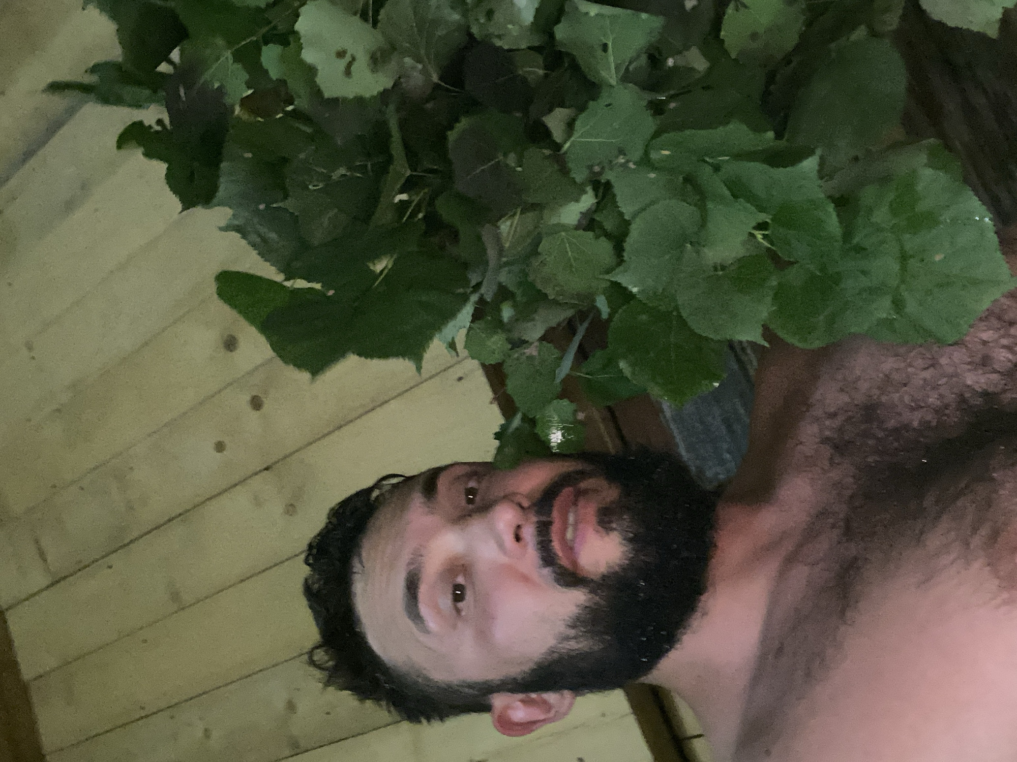 A shirtless man with dark hair and a beard is in a wooden room. He is looking at the camera and has a bunch of green leaves next to him. The floor and walls are made of light-colored wood planks. The man's chest and shoulders are visible and appear to be covered in dark hair. The lighting is dim and warm. The scene suggests a rustic or natural setting, possibly a sauna or bathhouse, given the presence of the leafy branch, which could be a venik used for traditional Russian banya treatments. The location is specified as Zhigalki, Russia.