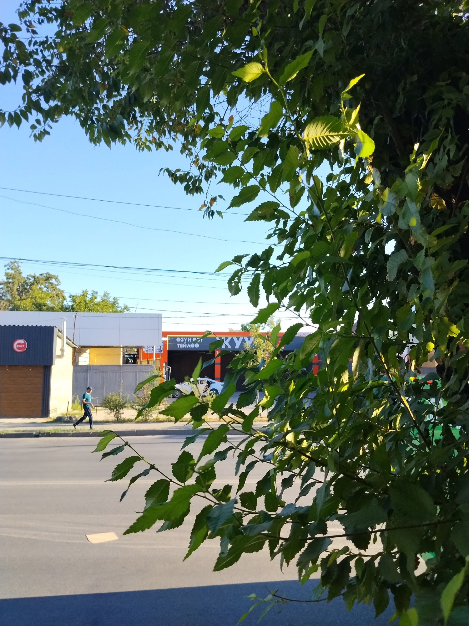 The image shows a street scene in Bishkek, Kyrgyzstan, with a focus on a building complex and a person walking. In the foreground, green leaves from a tree partially obscure the view. Behind the leaves, a street is visible with a sidewalk and a road. A person, wearing a blue t-shirt and dark pants, is walking on the sidewalk from left to right. The person appears to be in motion, possibly jogging or walking briskly.
To the left of the person is a building with a dark gray front and a wooden door, featuring a red circular sign with "24/7" inside. Adjacent to this is a white building with an orange roofline. Further to the right, a larger building with an orange facade and a dark roof is visible, with the word "КУУ" (KYU) clearly legible on the orange portion. Part of a white car is seen in the bay of this building, suggesting it might be a car wash or service station. Power lines are strung across the clear blue sky above the buildings. Trees are visible in the background, and the overall lighting suggests it is daytime, possibly late afternoon due to the warm tones. The scene captures a typical urban environment with elements of commercial activity and pedestrian movement.