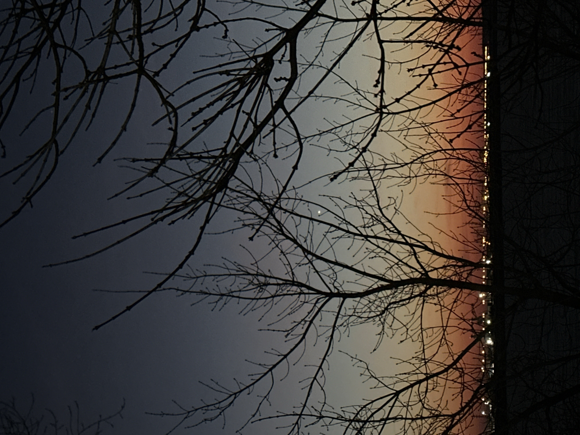 The image shows silhouetted tree branches against a sky that transitions from dark blue to orange, likely during sunset or sunrise. A vertical line of lights suggests a cityscape on the right side of the frame. Given the prompt, it is suggested this image was taken in Chaikovsky, Russia, however, no specific details within the image itself confirm its exact location. There are no visible people or interactions within the scene. The primary subjects are the tree branches and the changing sky.