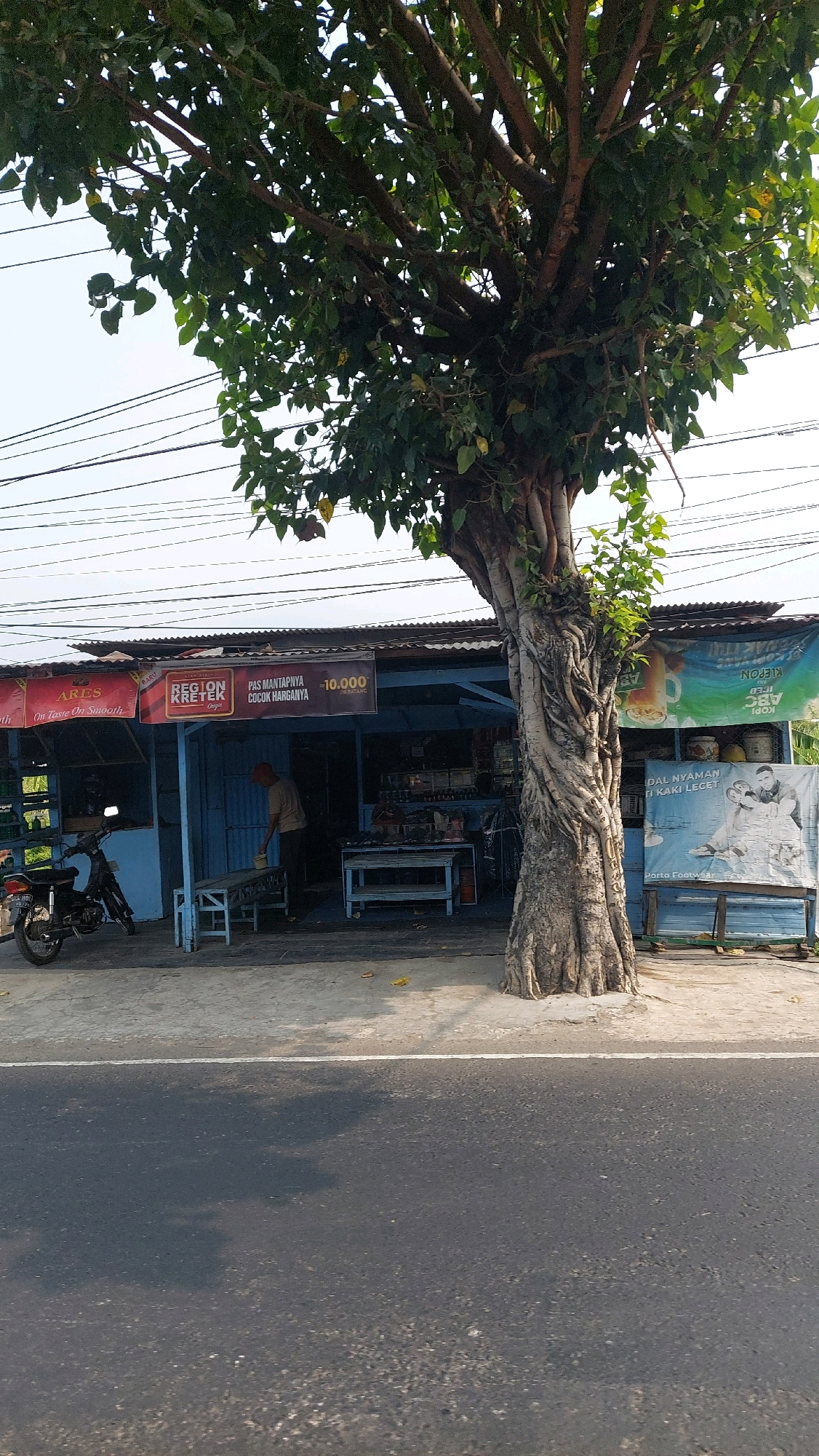The image depicts a street scene in Ketimang, Indonesia, dominated by a large tree with a thick, twisted trunk. The tree's branches and foliage spread across the upper portion of the frame, obscuring a portion of the sky and power lines. Beneath the tree, a blue-fronted shop with a corrugated metal roof is visible. Several signs are displayed on the shop's facade. One sign on the left, partially visible, reads "ARES" and "On Taste On Smooth." Another prominent sign in the center features the text "REGION KRETEK" and "PAS MANTAPNYA COCOK HARGA -10.000." To the right, a blue banner with text written in reverse reads "ABC IKED". Inside the shop, shelves stocked with various items are visible. A person wearing a light-colored shirt and a red cap stands near a bench, holding a white container. In front of the shop, a black motorcycle is parked. A wooden bench is placed on the sidewalk in front of the shop. To the right of the shop, a large poster with images of two people and text is displayed, and another sign advertising "Porto Footwear" is present. The street in the foreground is paved and shows a white line marking the edge of the road. The overall lighting suggests it is daytime with clear skies.