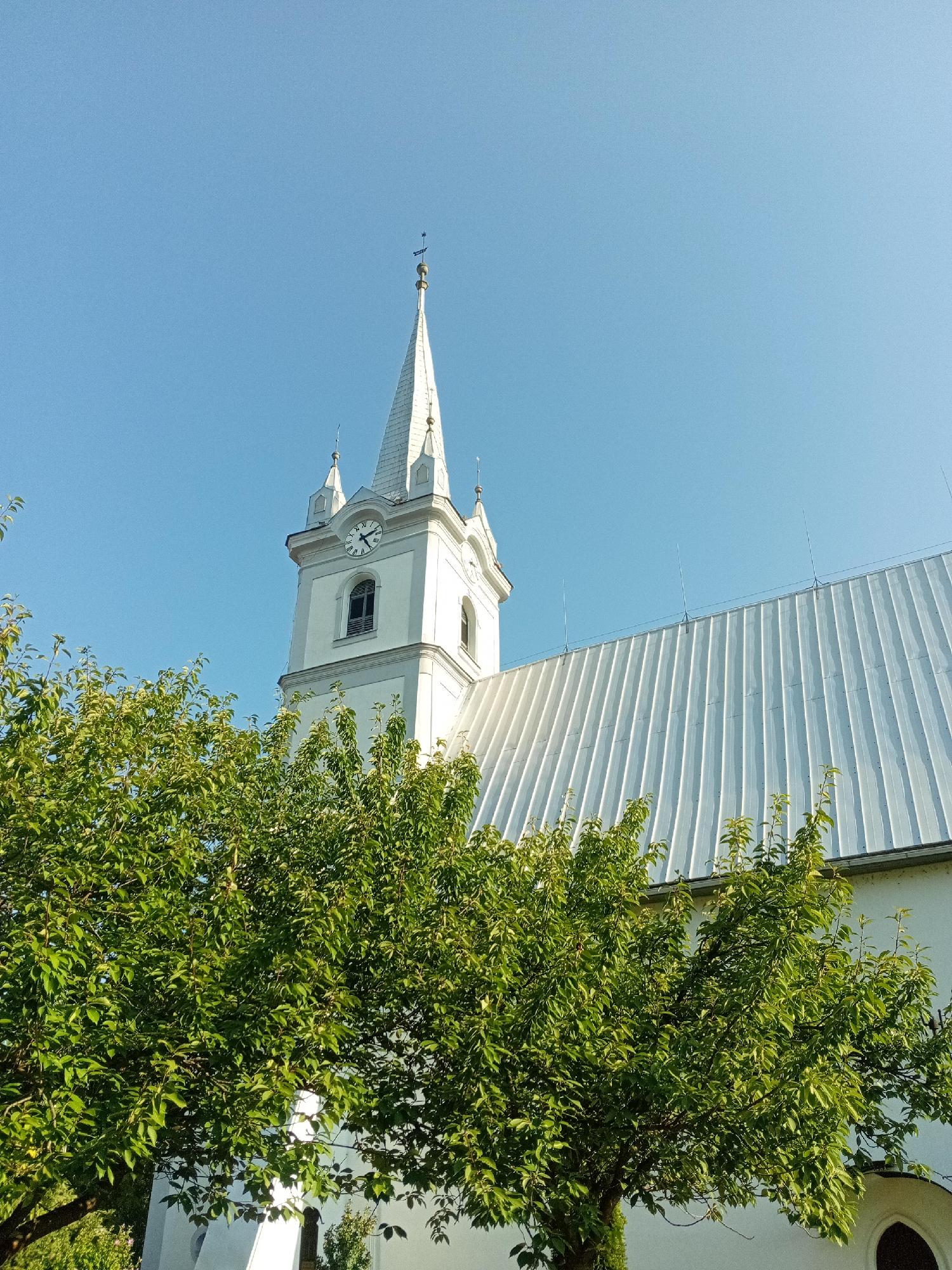 The image shows a white church building with a tall, pointed spire. The spire has a clock on its face and is topped with a weather vane. The church has a long, sloped roof made of metal. In the foreground, there are lush green trees with dense foliage, partially obscuring the lower portion of the church. The sky is clear and bright blue. The scene appears to be a sunny day in the city of Tiachiv, Ukraine. There are no people visible in the image.