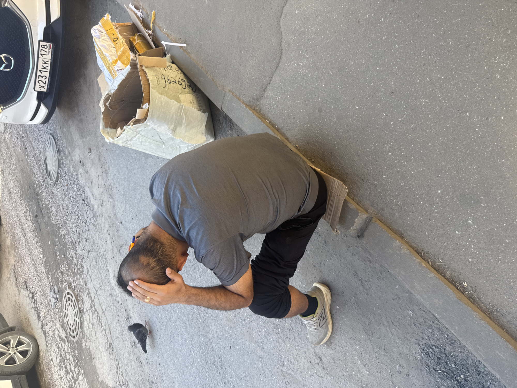 A man with short, dark hair is sitting on a curb with his head in his hands. He is wearing a gray t-shirt and black shorts, with gray and yellow sneakers. A pigeon is standing on the asphalt a few feet in front of him. To the right of the man, a damaged cardboard box and a large white bag are sitting on the ground. Behind the box, a white SUV with a Russian license plate (X231KK 178) is parked. A manhole cover is visible on the asphalt to the left of the pigeon. The scene appears to be on a street in Saint Petersburg, Russia.