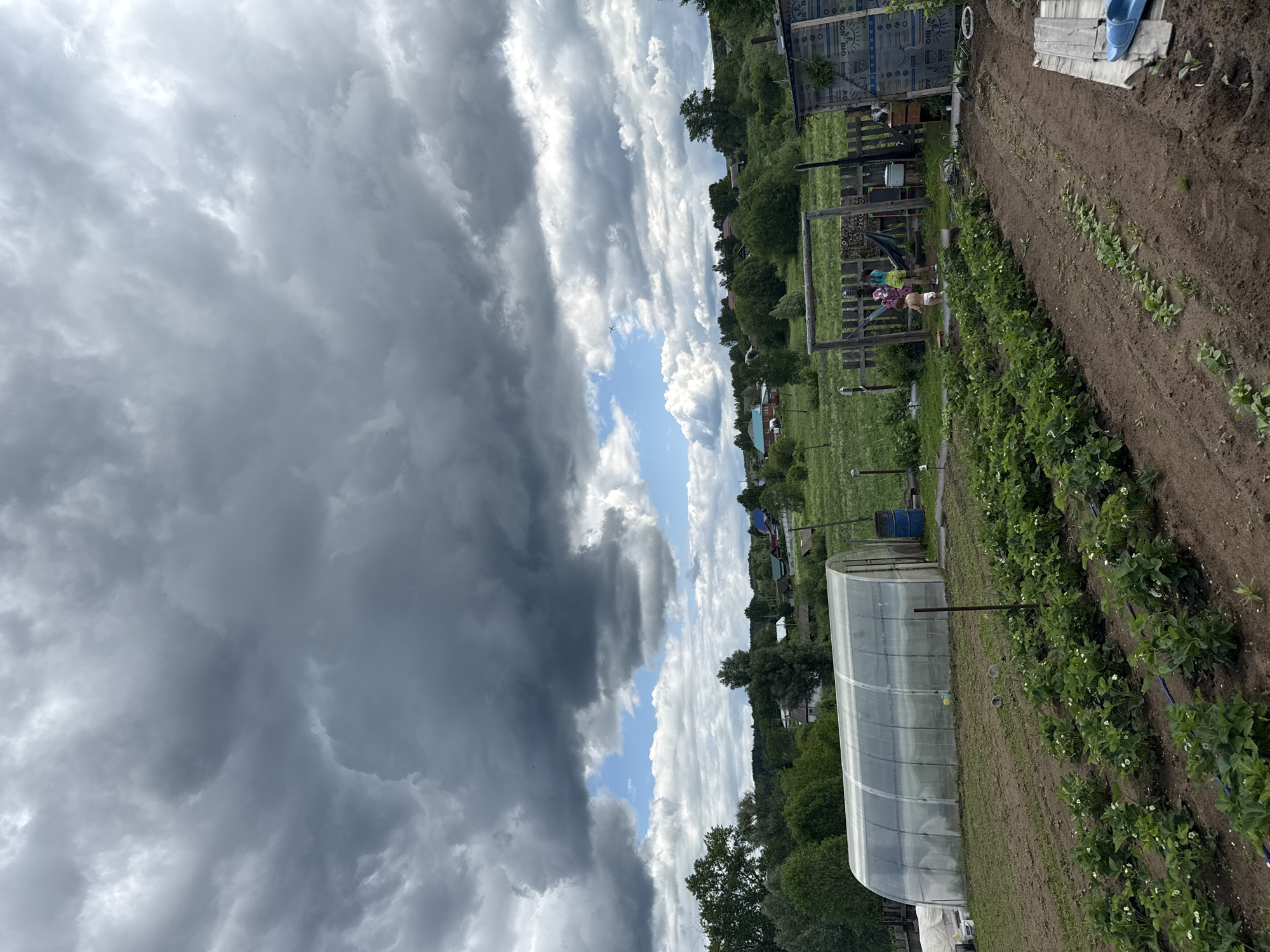 The image shows a rural scene in Уральское, Russia. A partially cloudy sky with dark storm clouds and patches of blue is visible overhead. In the foreground is a garden with rows of planted vegetation, possibly strawberries or a similar ground cover. A clear plastic greenhouse stands near the edge of the cultivated area. Further back, a grassy field stretches towards houses and trees. Several children are visible playing near a wooden structure in the middle ground.