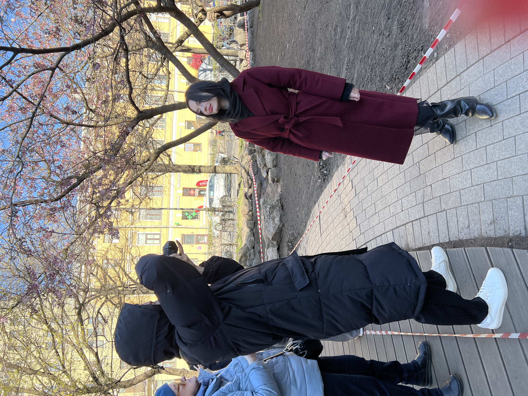 This outdoor photograph depicts three individuals on a sunny day in what appears to be an urban park or street in Saint Petersburg, Russia.
The primary subject, positioned in the middle ground, is a woman with dark hair wearing a striking dark red, belted long coat, a black turtleneck or scarf, and black boots. She stands with a neutral expression, looking slightly downwards and to her left.
In the foreground, a person dressed in a black puffer jacket, dark pants, and white sneakers is captured actively taking a photograph, holding a camera or phone up to their eye. Adjacent to them, partially visible, is another person in a light blue puffer jacket and glasses, also observing the woman in red.
The setting features a paved pathway composed of both grey tiles and wooden planks. This path is separated from an unpaved, rocky area by red and white striped barrier tape, possibly indicating landscaping or construction work. The background is dominated by several trees, some with bare branches, while others are adorned with delicate pink blossoms, suggesting springtime. A multi-story yellow building with numerous windows stands behind the trees. Visible Cyrillic text on the building includes fragments like "ТОРГОВ..." and "АПТЕКА" (Pharmacy), along with green cross symbols, indicating commercial establishments. Parked bicycles and a streetlamp are also discernible further in the background. The bright sunlight casts clear shadows, signifying pleasant weather, likely late morning or afternoon.