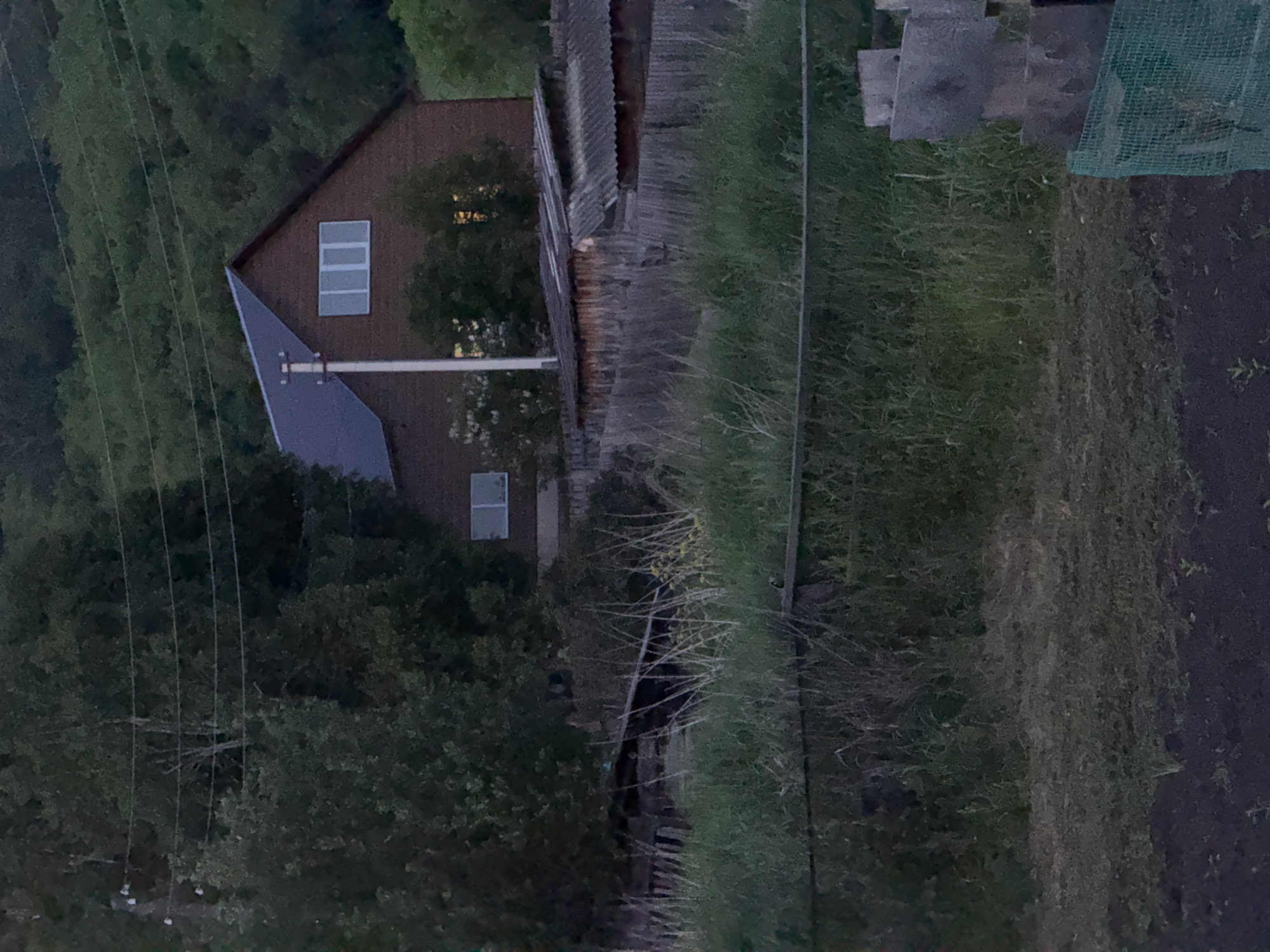 This is a mid-range, eye-level, outdoor shot of a residential area in Soloneshnoye, Russia. The scene appears to be at dusk or in low light conditions, with a wooden house with a dark blue roof and white-paned windows as the focal point. The house is partially obscured by dense, dark green trees. In front of the house, there are several smaller wooden structures with corrugated roofs, and a weathered wooden fence runs across the middle ground. Tall, dry grass and weeds grow in abundance, and a dark, unpaved path or garden bed is visible in the foreground. A thin black wire runs horizontally across the upper portion of the image, likely power lines. There are no people visible in the image.