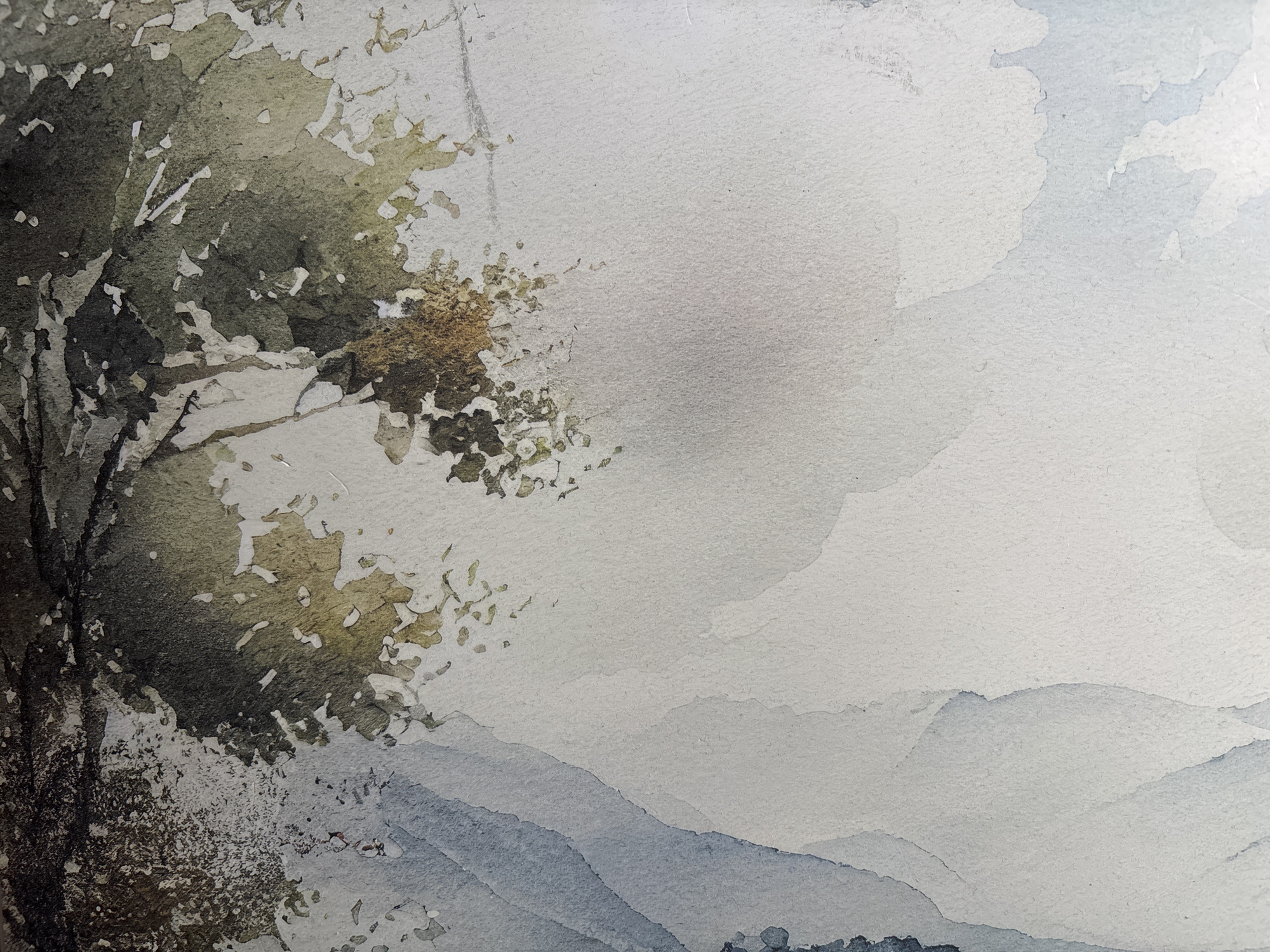 The image is a watercolor painting depicting a landscape with a tree on the left and mountains in the background. The tree has dark green and brown foliage, with some branches extending into the center of the composition. The background features a series of mountains rendered in shades of blue and grey, creating a sense of depth and distance. The sky is predominantly white with hints of light blue, suggesting a cloudy or overcast day. The style is loose and impressionistic. There is no evidence to suggest this is the city of Troyan, Bulgaria. No people, specific objects, or actions/interactions are depicted.