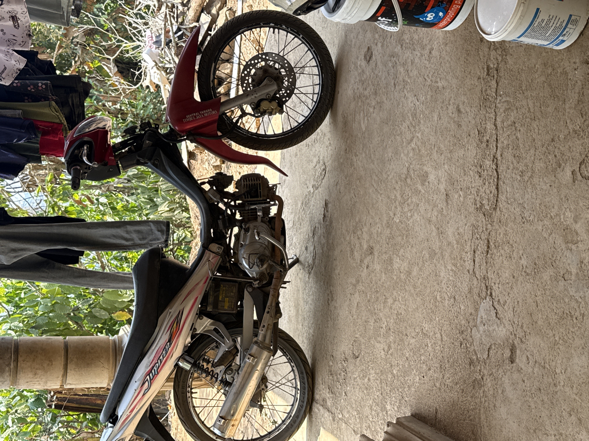 This is a medium shot, eye-level, full-body photograph of a red and silver Yamaha Jupiter motorcycle parked on a concrete floor. The motorcycle is positioned at a slight angle, facing towards the right side of the frame. The scene appears to be outdoors, possibly in the city of Slahung, Indonesia, given the context.
The motorcycle has a silver body with red and orange decals on the side panel, including the "Jupiter" branding. It features a black seat, a red front fairing, and a silver exhaust pipe. The front wheel has a disc brake. The rear wheel is visible, showing spokes and a tire with some wear.
Behind the motorcycle, there is a thick, round, beige pillar, possibly part of a structure. Laundry, consisting of various colored clothes, is hanging on a line behind the pillar and the motorcycle. The background is filled with lush green foliage and trees, suggesting a natural or semi-natural environment. There are also some rocks and debris visible in the background.
On the right side of the frame, two white buckets are partially visible on the concrete floor. One bucket has red and blue graphics, including an illustration of a cartoon character and text that reads "waterproofing pa". The other bucket has some text and a barcode on its side. The concrete floor shows some cracks and imperfections.
The lighting in the image suggests it was taken during the daytime, with sunlight casting shadows. There are no people visible in the photograph. The overall impression is that of a parked motorcycle in a somewhat rustic or utilitarian outdoor setting.