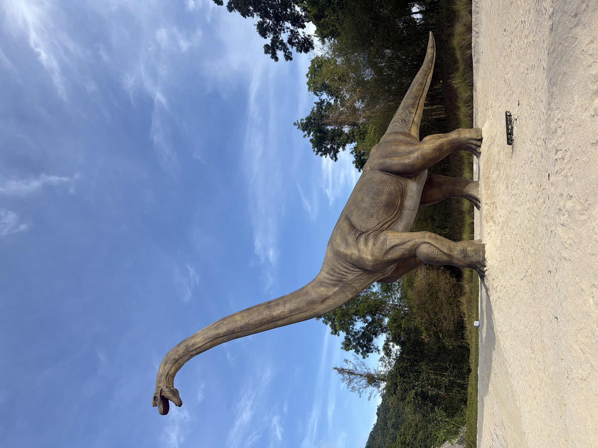 A life-size model of a dinosaur, possibly a Brachiosaurus, stands on a tan concrete surface next to green foliage and trees. The dinosaur is light brown in color with detailed skin texture and is positioned with its long neck stretched upward towards a blue sky with wispy clouds. The setting is Baan Lipa Noi, Thailand, as indicated by the provided information.