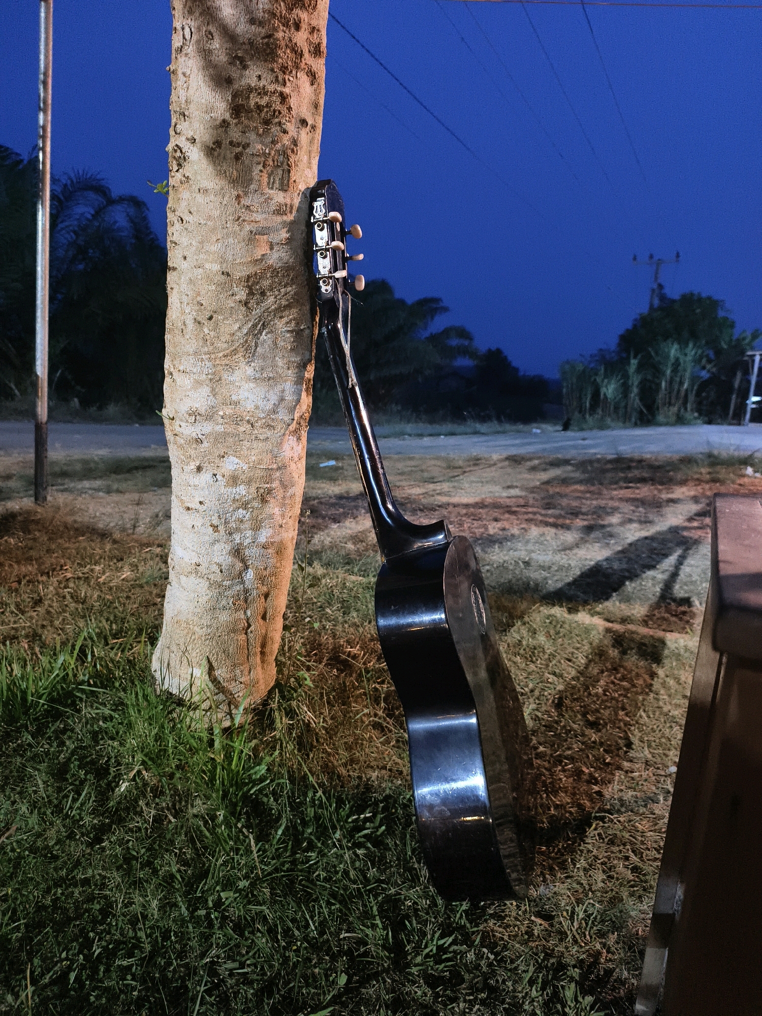 An acoustic guitar is leaning against a tree trunk in a grassy area. The guitar is black and its headstock and tuning pegs are visible at the top. The tree trunk is rough and textured, with some lighter colored patches. The ground around the tree is covered in grass and dry leaves. In the background, there is a road with a utility pole and lines overhead. The sky is a deep blue, suggesting it is either dusk or night. There is a wooden structure to the right of the guitar, possibly a table or bench. The scene appears to be in an outdoor, rural or semi-rural setting. The presence of a utility pole and road suggests it might be near a populated area within Muara Bulian, Indonesia.