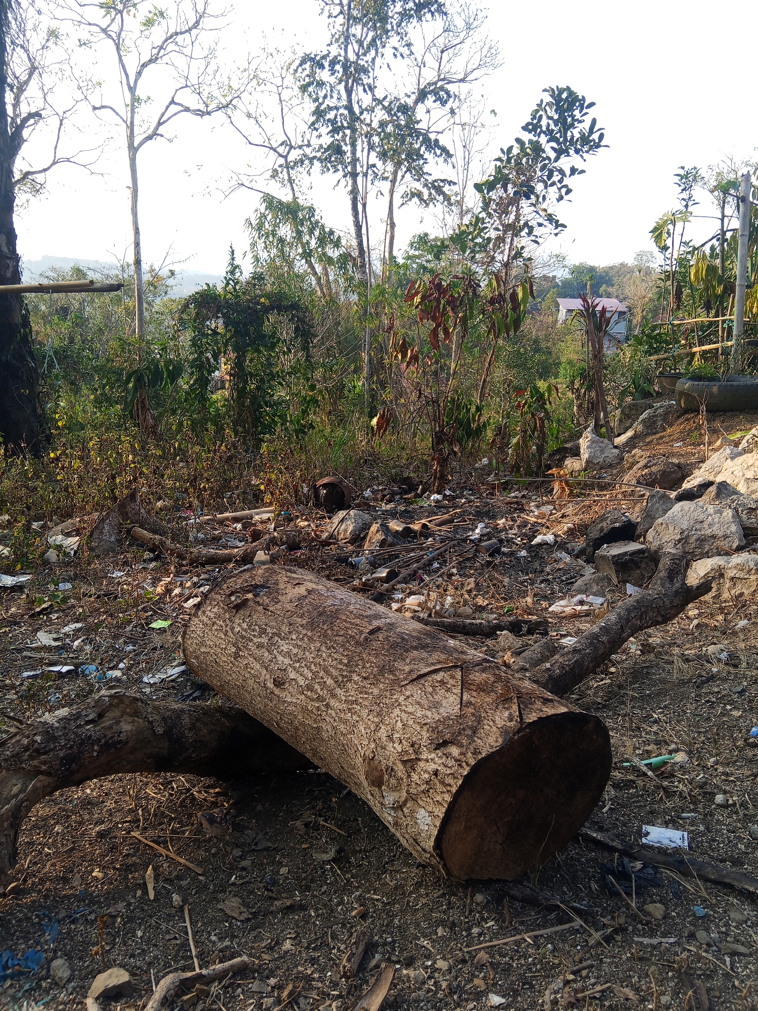 In Makale, Indonesia, a felled log lies prominently in the foreground, its rough bark and exposed circular end facing the camera. The ground around it is littered with debris, including rocks, dry leaves, twigs, and various forms of refuse such as plastic bottles and wrappers. In the background, a dense mix of vegetation, including trees and shrubs, creates a backdrop of green and brown hues. Some trees are bare, suggesting a dry season or the type of tree, while others are leafy. A small structure, possibly a house with a red roof, is partially visible through the foliage. The sky above is bright and hazy, indicating daylight. The overall scene suggests an unkempt outdoor area, potentially a rural or semi-rural location on the outskirts of the city.