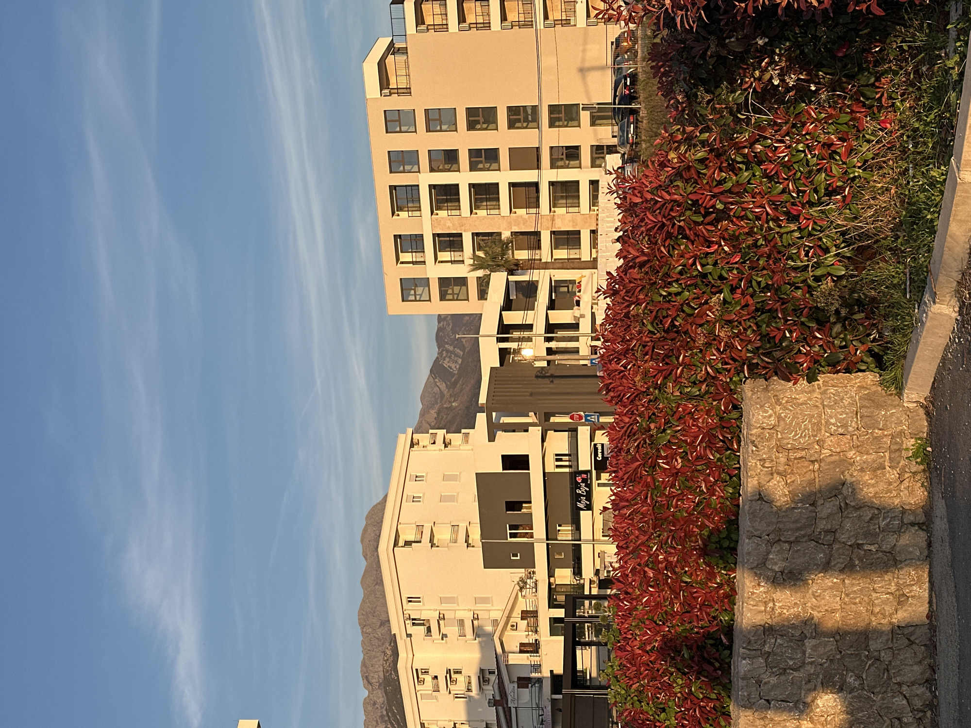 The image shows a street scene in Šušanj, Montenegro. A tall, tan apartment building with multiple rows of windows is visible, with the top floor having small balconies. A lower building with white and grey elements is also present. The buildings are set against a backdrop of mountains and a blue sky with light wisps of clouds. In the foreground, there's a vibrant red bush, partially obscuring the view of the buildings. A stone wall runs alongside the bush, and the edge of a paved surface is visible on the right. A sign with text "Moja Buja" is visible on the grey building.