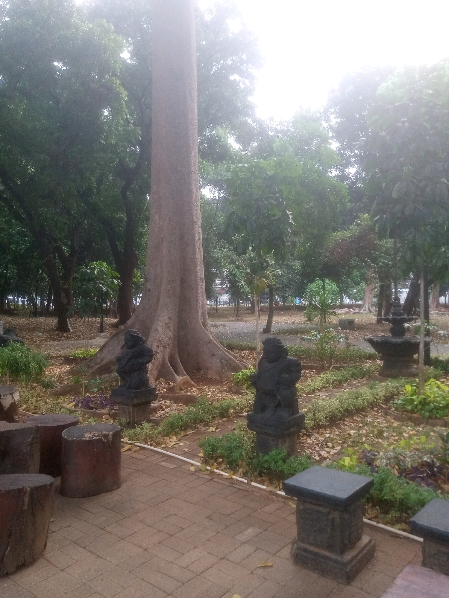 The image depicts a park scene in Central Jakarta, Indonesia, characterized by a large, mature tree with prominent buttress roots at its base. In the foreground, a paved walkway made of reddish-brown bricks leads into the park. Several round, wooden tree stumps are arranged along the left side of the walkway, serving as seating.
Two dark stone statues, each depicting a seated figure with distinct facial features and headdresses, stand on raised stone bases in the mid-ground. Between the statues and the large tree, there is a garden area with various plants, including some with purple foliage and ground cover. Fallen leaves are scattered across the ground in this section.
To the right of the statues, a dark stone fountain with multiple tiers is visible. Beyond the fountain and garden, the park extends with more trees, some appearing to be smaller and younger, interspersed with open grassy areas. The background is filled with lush green foliage from trees, suggesting a densely vegetated park. The sky is overcast or hazy, with bright light filtering through the trees, creating a soft, diffused illumination throughout the scene. The overall impression is one of a serene, natural setting within an urban environment.