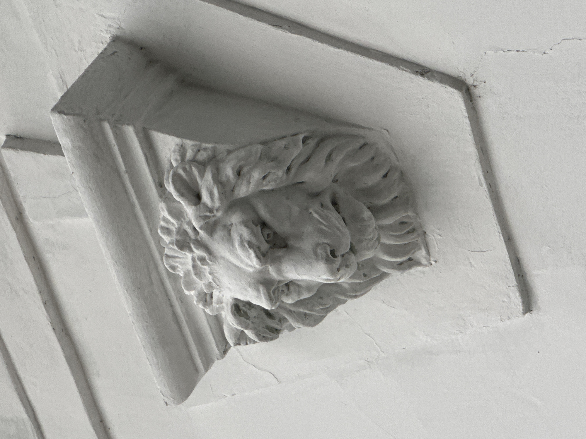 The image shows a close-up of a white stone carving of a lion's head on the facade of a building. The carving is detailed, with a textured mane and expressive facial features. It is mounted on a triangular architectural element that projects from the wall. The wall itself is textured and painted white, with some visible cracks. The lighting is even, suggesting an overcast day or diffused light. The image is captured from a slightly low angle, looking up at the carving. There are no people visible in the image.
This architectural detail, a lion's head carving, is located on the facade of the former Palace of Justice in Uzhhorod, Ukraine, which now houses the Uzhhorod District Administrative Court.