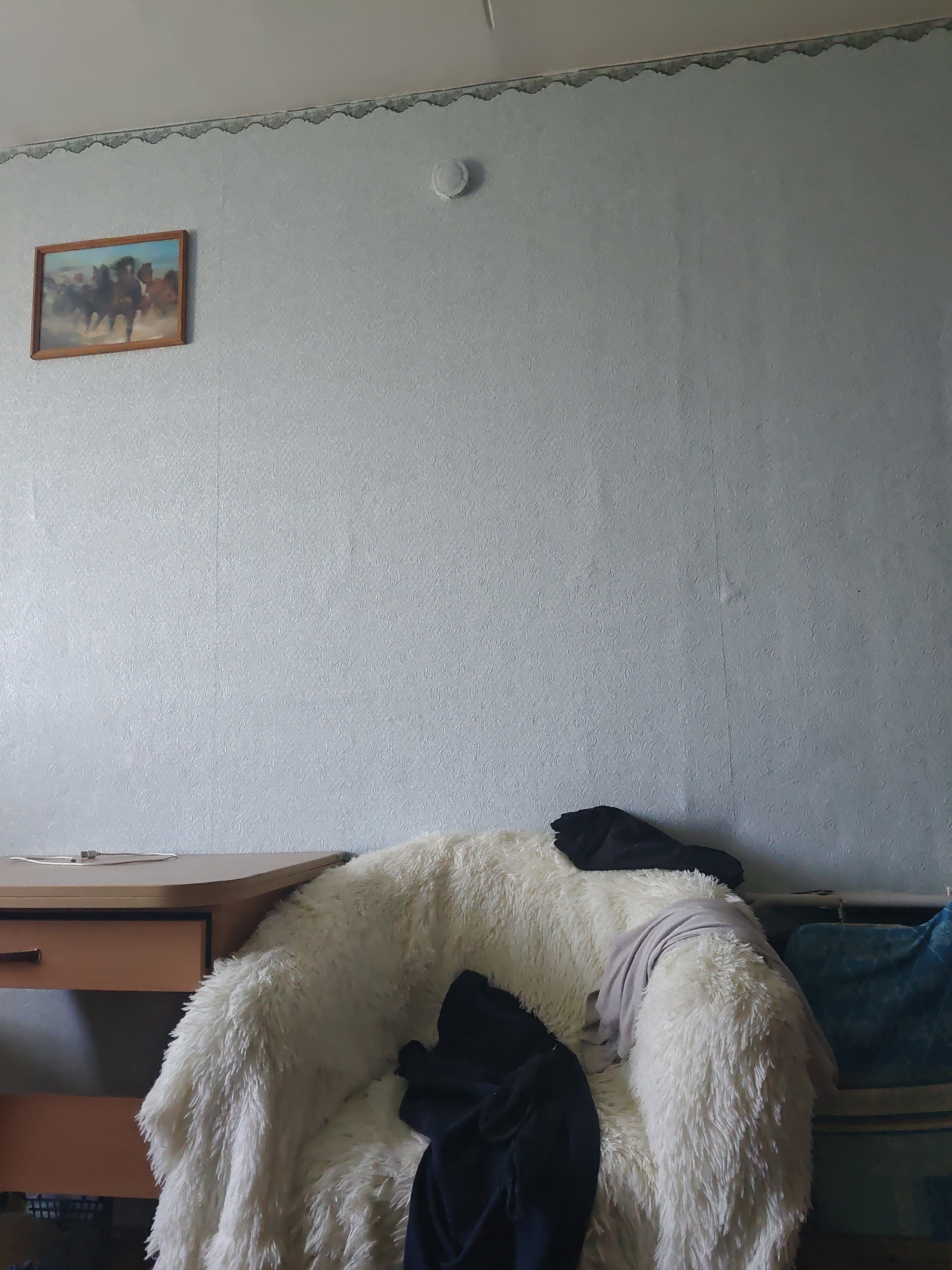 The image depicts a domestic interior scene. In the upper left, a framed picture of horses running is mounted on a textured, light blue wall with a decorative border along the top. To the right of the picture, a white circular object, possibly a smoke detector, is attached to the wall. In the lower half of the image, a plush, white armchair is partially visible, draped with dark clothing on the seat and a grey garment on the armrest. A wooden desk with a drawer is positioned to the left of the armchair. The floor is not visible. The lighting appears to be ambient indoor lighting. The location is identified as the city of Курашим, Russia.
