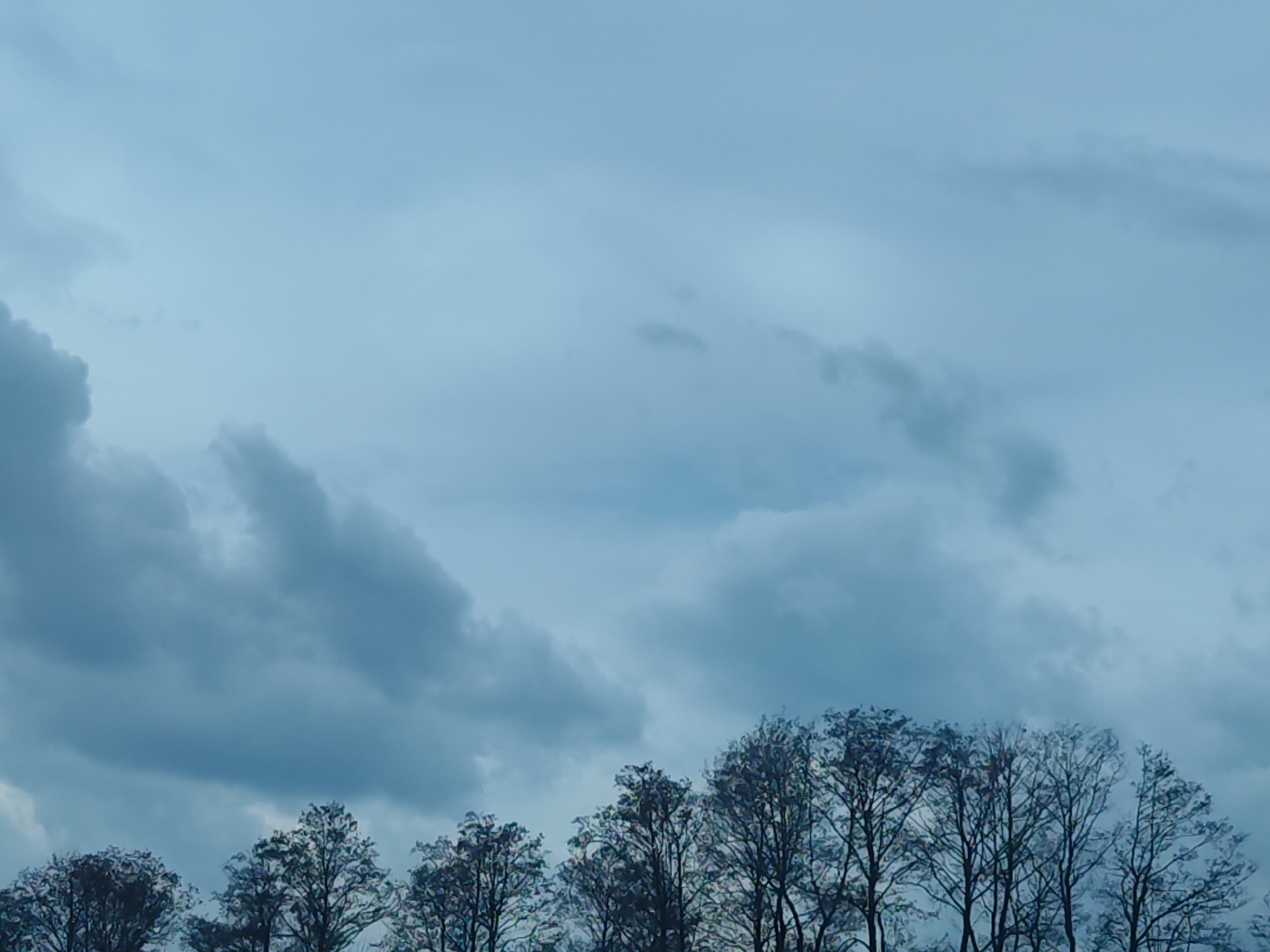 The image captures an outdoor scene dominated by a cloudy sky and the silhouetted tops of bare trees. The sky fills the upper two-thirds of the frame, showcasing varying shades of muted blue and grey clouds. Some areas of the sky are lighter and more uniform, while others feature denser, more textured cloud formations. The overall impression of the sky is one of an overcast or heavily clouded day.
Along the bottom third of the image, the dark, intricate outlines of deciduous trees are visible against the lighter sky. Their branches are bare, devoid of leaves, suggesting either late autumn, winter, or early spring. The trees appear as a row or cluster, with their canopy tops just entering the frame. There is no specific activity or event taking place, and no people or artificial objects are present. The scene has a tranquil, somewhat somber or peaceful mood due to the diffused light and cool color palette. The time of day appears to be daytime, but the heavy cloud cover prevents bright sunlight. There is no visible text in the image. Given the location context of Chaikovsky, Russia, the bare trees are consistent with the climate and seasons of the region.