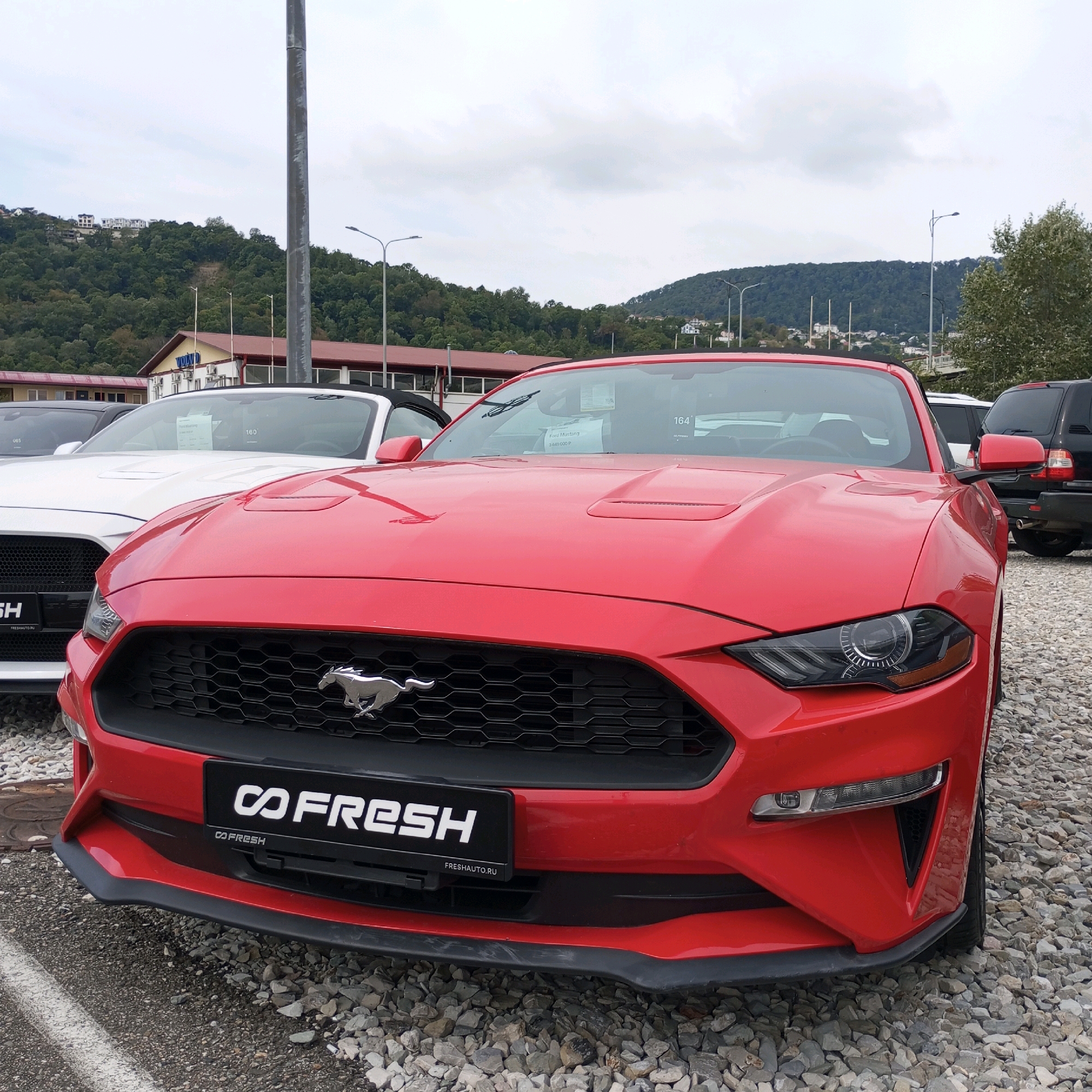 The image shows a red Ford Mustang parked on a gravel lot in front of a building with "VOLVO" signage. In the background, a green, tree-covered hill with houses is visible under a cloudy sky. The car's license plate area has a black frame with "CO FRESH" and "FRESHAUTO.RU" text. Another white car, possibly a convertible, is parked to the left of the red Mustang, and a black SUV is partially visible to the right. The scene appears to be a car dealership or a parking lot located in Sochi, Russia, given the presence of the Russian domain name on the car's plate frame and the characteristic hilly, green landscape of the region. There are no people visible in the image.