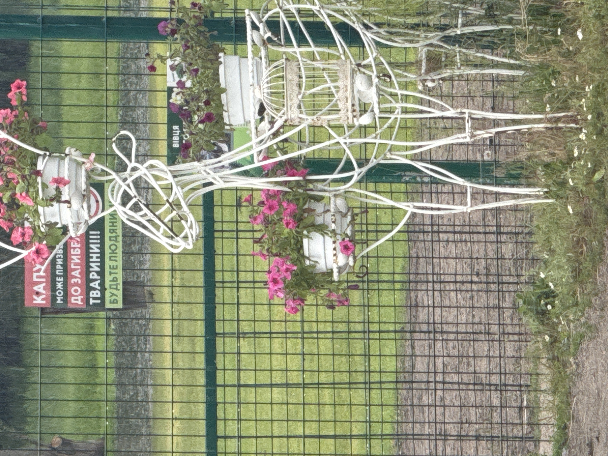 The image shows a decorative white metal deer sculpture with potted flowers. The sculpture is placed in front of a green metal fence. Behind the fence, there is a grassy area. There are signs posted on the fence, one of which reads "Капу" (Kapu) in red letters, and other text in Ukrainian which appears to be a warning. Another sign reads "Вівця" (Vivtsya) in blue letters. The scene is located in Zaliznychne, Ukraine, as indicated by the provided context. The deer sculpture has a birdcage hanging from it. The flowers in the pots are pink and purple. The overall environment appears to be an outdoor public space, possibly a park or garden.