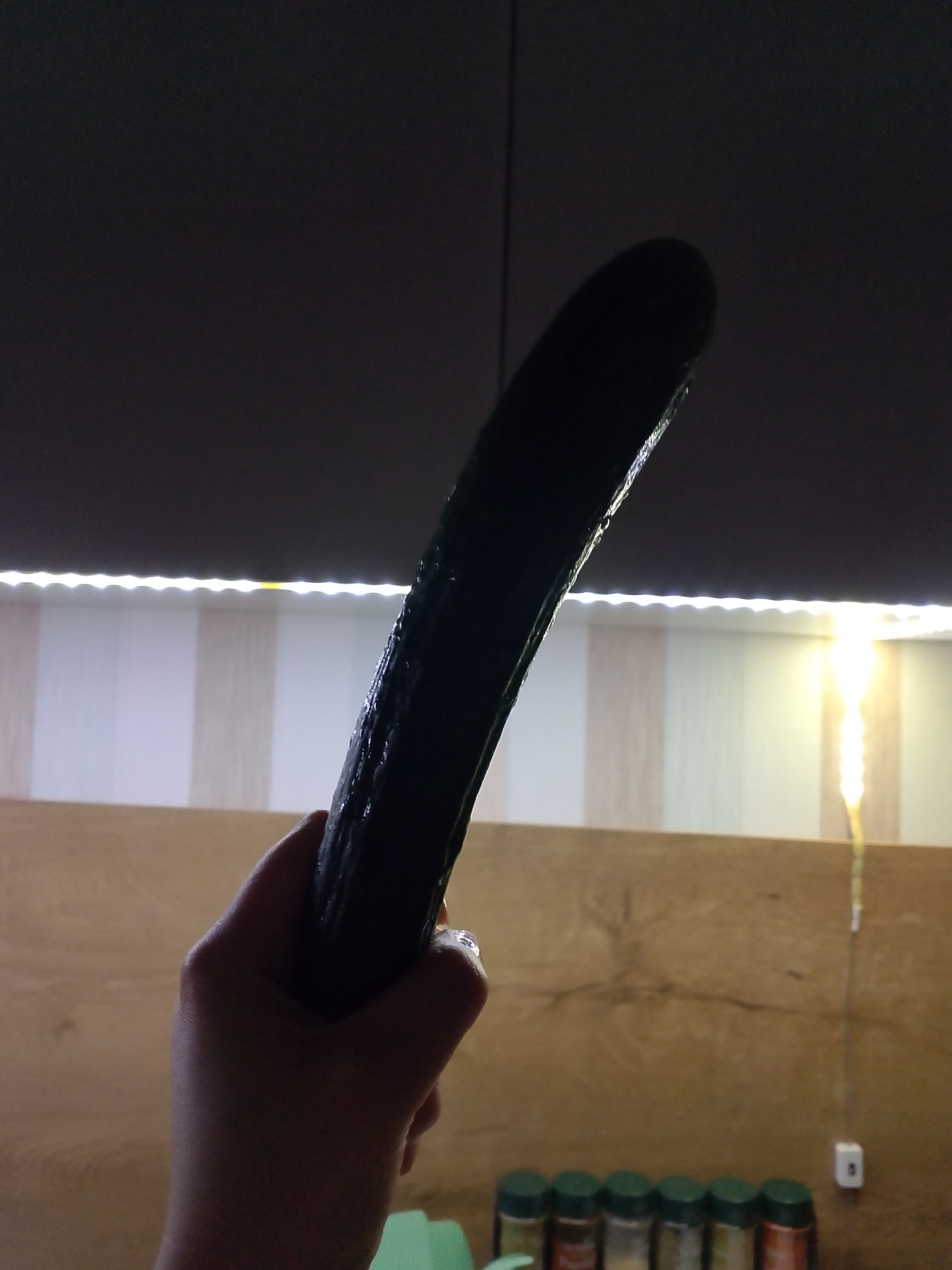 A person holds a dark-skinned cucumber in their hand. The scene is indoors in a kitchen, with the cucumber being the primary subject. Background elements include a dark gray cabinet, an LED strip light under the cabinet, a wood-patterned backsplash or wall panel, and various spice jars on the counter. A string light is visible hanging on the wall. There is no evidence of this being in Izhevsk, Russia.