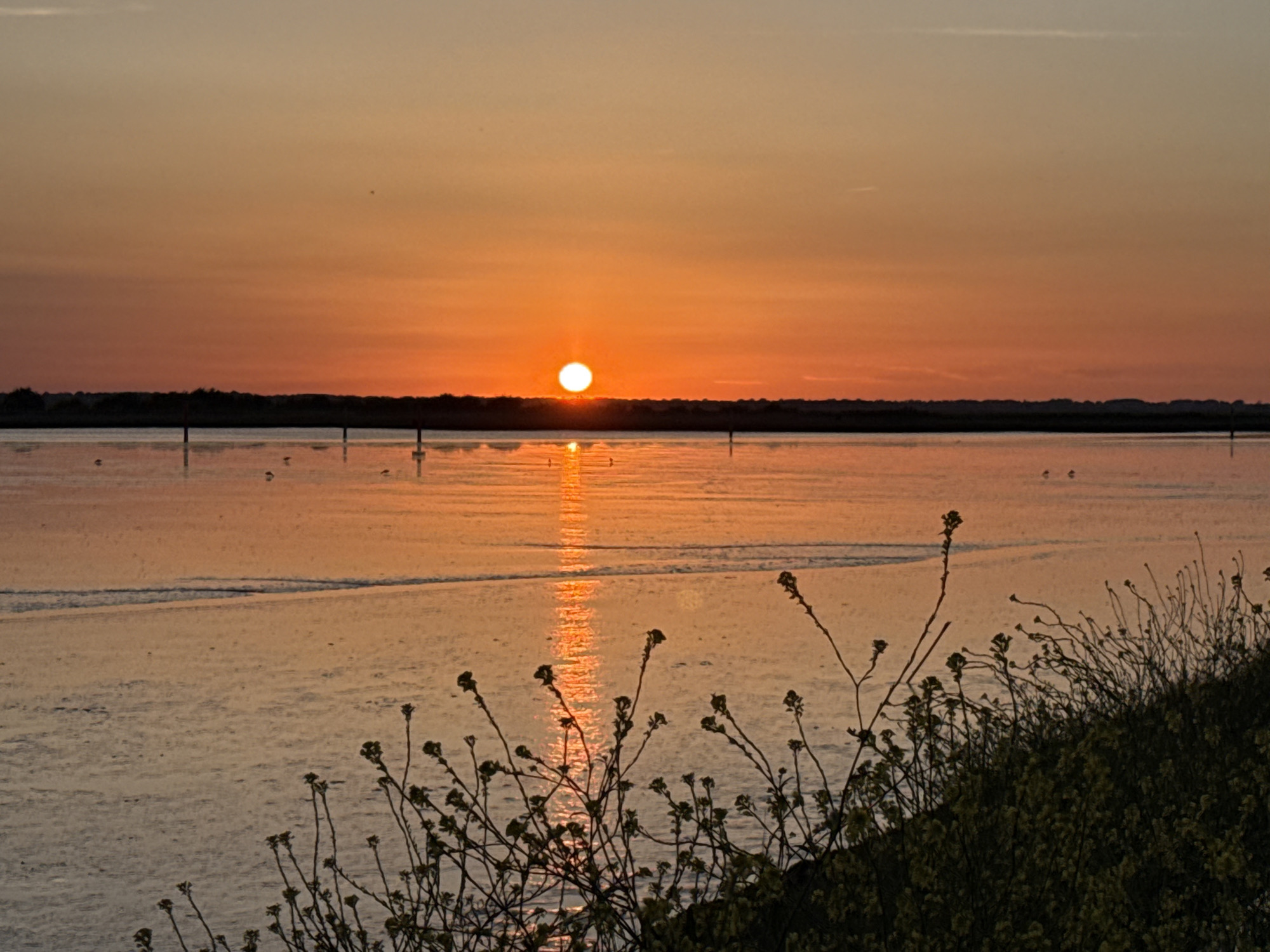 The image depicts a sunset scene over Breydon Water in Great Yarmouth, United Kingdom. The sun is positioned low on the horizon, casting a bright orange glow across the sky and reflecting on the water's surface, creating a shimmering path of light. In the foreground, there is vegetation with yellow flowers along the shoreline. In the mid-ground, there is water with several dark posts evenly spaced apart and a dark line of trees along the horizon. There are few birds wading in the water near the posts. The sky is multi-hued, ranging from a pale yellow at the top to a deep orange near the horizon.