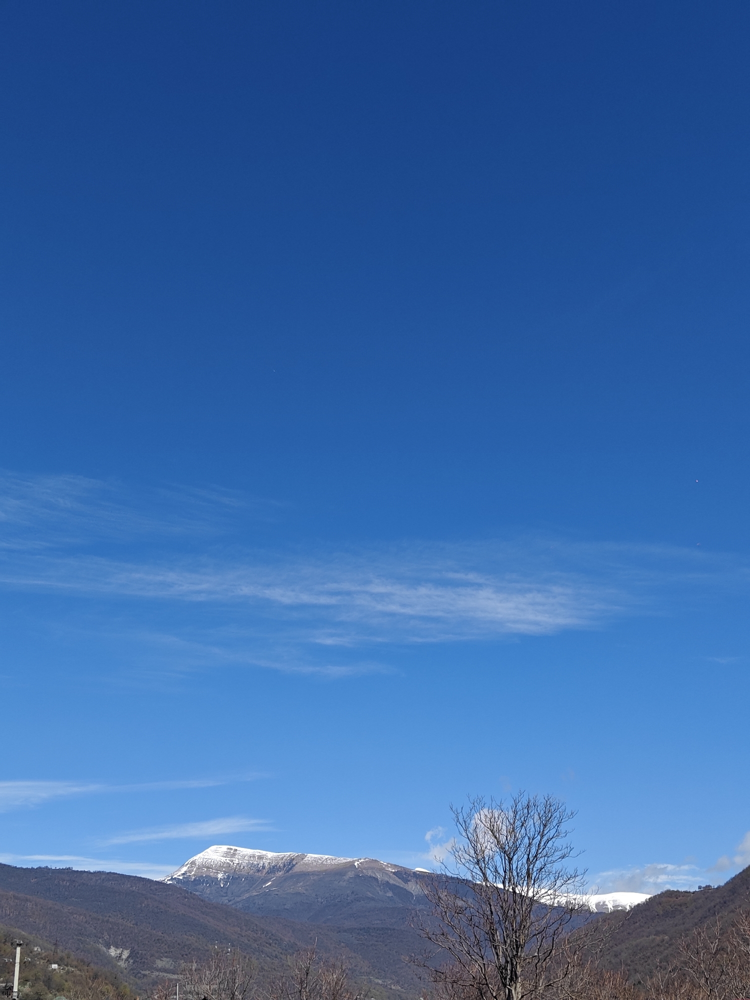 A vibrant blue sky dominates the upper portion of the image, showcasing a clear day with a few delicate, wispy white clouds horizontally streaking across the middle and lower sections. The sky is bright and appears sunny.
Below the expansive sky, a majestic mountain range unfolds. The central peak is notably crowned with a substantial layer of pristine white snow, contrasting with the darker, earthy tones of the lower slopes. The mountains to the left and right of the snow-capped peak are primarily covered in what appears to be bare deciduous trees or sparse, brown vegetation, suggesting either late autumn, winter, or early spring.
In the foreground, particularly on the right side, a tall, leafless tree with intricate, dark branches stands prominently, its bare form reaching towards the sky. More bare trees and some shrubs are visible across the bottom of the frame, hinting at a natural, perhaps rural, setting. On the far bottom left, there are faint indications of human-made structures or utility poles, but they are indistinct.
The overall scene depicts a serene natural landscape, possibly in a mountainous region during a cold season, under a bright, clear blue sky. The time of day appears to be daytime, likely midday or early afternoon, given the clear illumination. There is no visible text in the image.