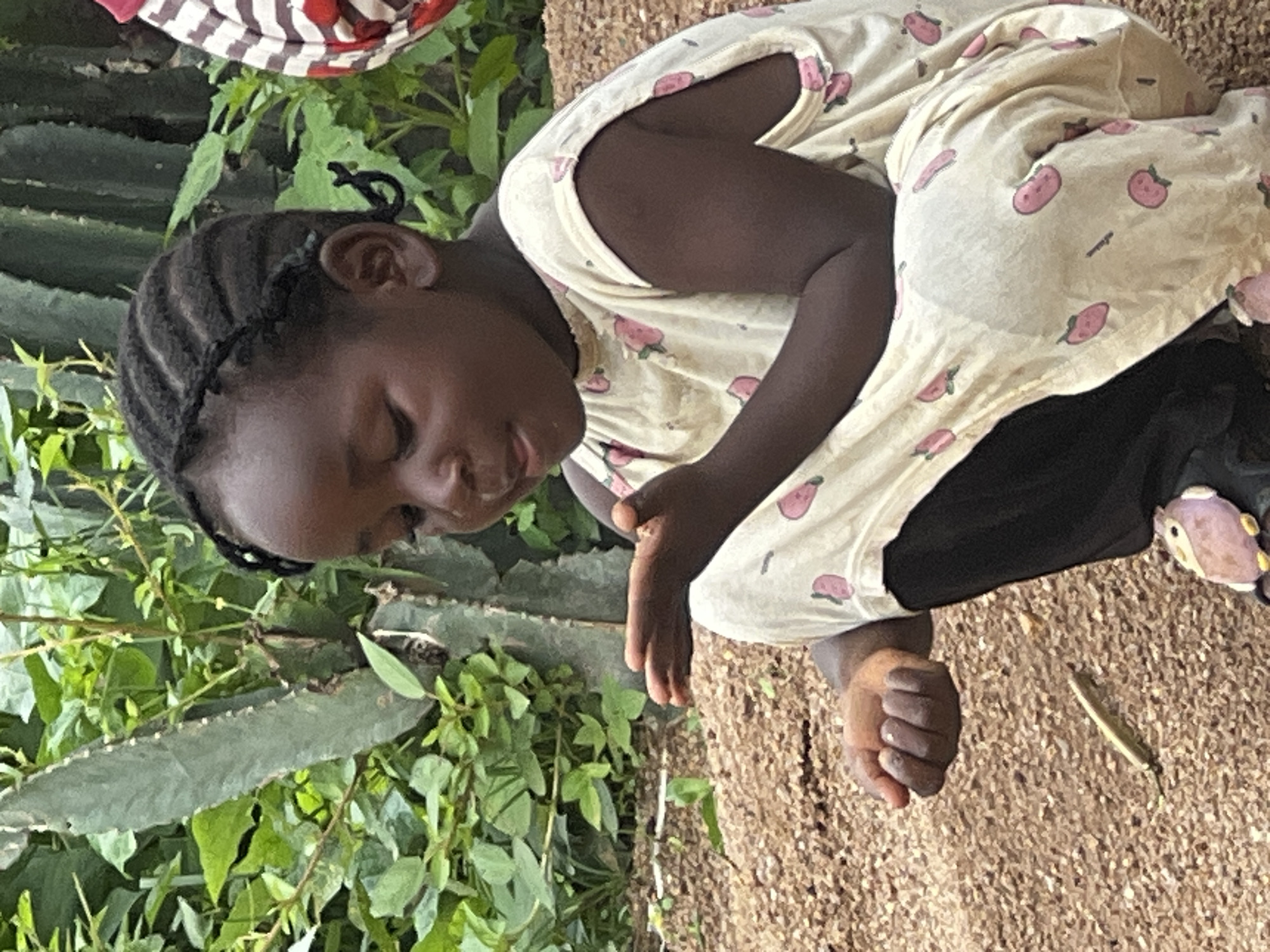A young African girl, with her hair in braids, kneels on the ground in a rural setting. She wears a light-colored sleeveless dress adorned with pink strawberry prints and black trousers. Her gaze is directed downwards towards her cupped hands, which appear to be holding or examining something small. The ground is covered in coarse, sandy soil with scattered pebbles. Behind her, lush green foliage and a tall, spiky cactus plant suggest an outdoor environment. A small, light-colored object, possibly a toy, is visible near her feet. The lighting suggests it is daytime. The overall scene conveys a moment of curiosity and gentle interaction with the natural world.