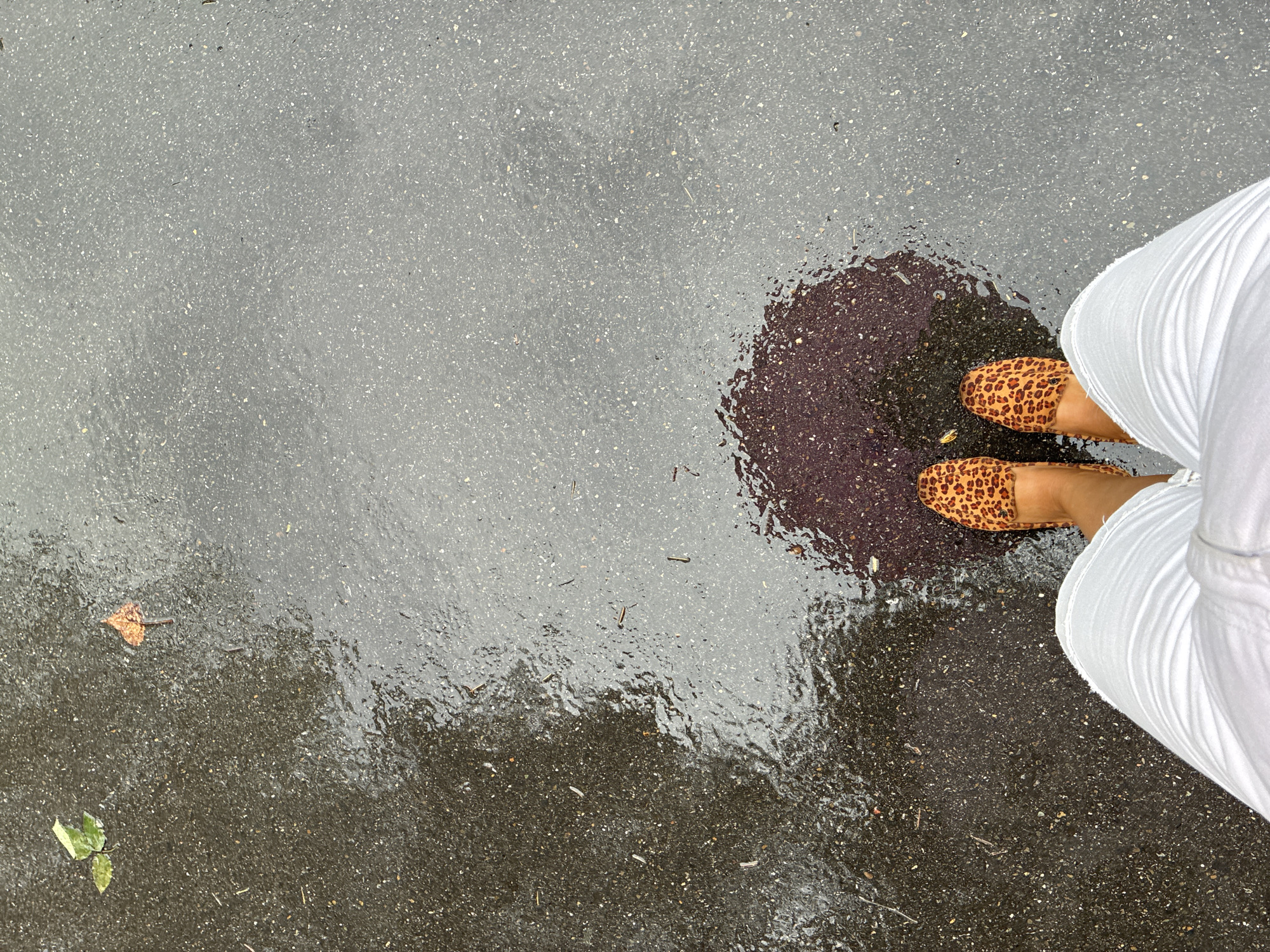 A person stands on a wet, dark gray asphalt surface, possibly after rain. They are wearing white pants and leopard print shoes. The asphalt reflects light, indicating it is wet. There are a few scattered leaves on the ground, one green and one brown. A dark, circular puddle or wet patch is visible near the person's feet. The scene suggests an outdoor urban environment. No specific landmarks or indicators of Sochi, Russia, are present.