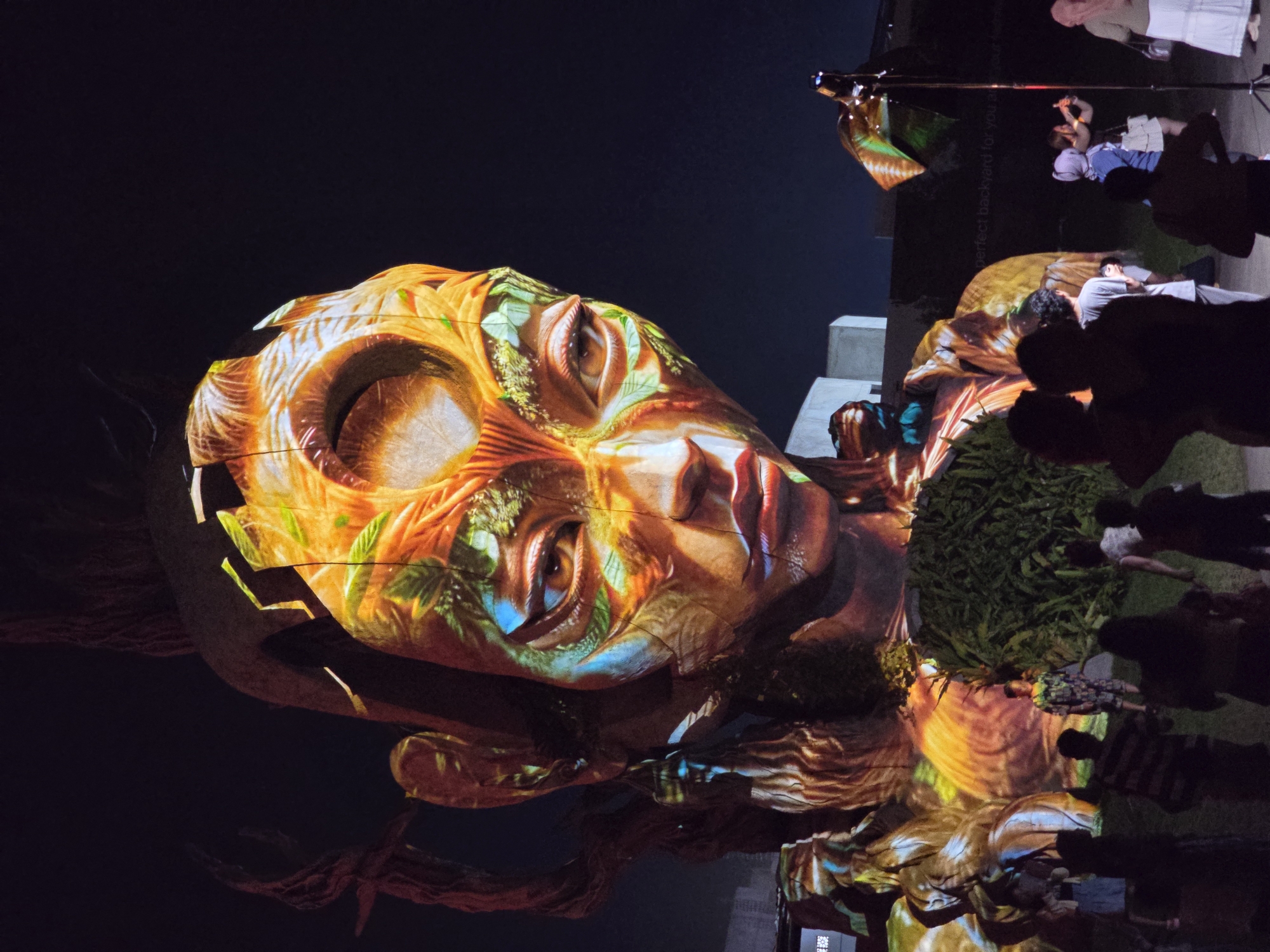 A nighttime outdoor scene shows a large-scale projected image of a human face onto what appears to be a building or wall. The projection features a face with textures and patterns of foliage and natural elements. In the foreground, blurred silhouettes of people stand, suggesting they are watching the projection. In the upper right, a projector is visible. The location appears to be Mengwi, Indonesia, based on the file name. The lighting is focused on the projection, creating a contrast between the bright, illuminated face and the darker surroundings and shadows of the viewers. The reflection of the projected face is visible on the ground below it.