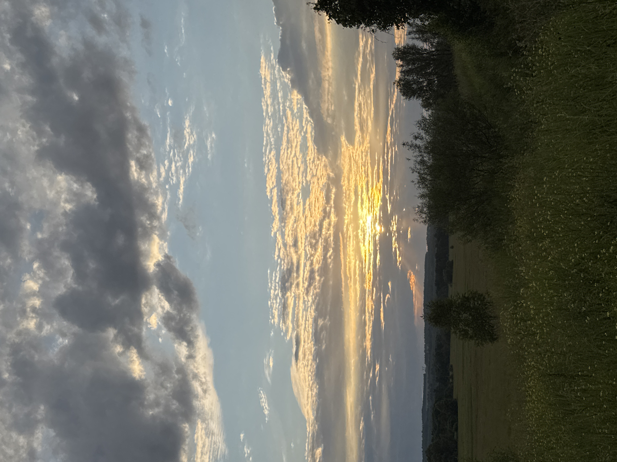 The image depicts a sunset over a rural landscape, likely in Nizhnyaya Gar', Russia. The sky is filled with dramatic clouds, ranging from dark gray to bright orange and yellow as the sun sets. Rays of light are breaking through the clouds, illuminating a vast, open field. In the foreground, tall green grass and small white wildflowers cover the ground. In the middle ground, there are various trees and bushes, some of which are silhouetted against the sky. In the background, a distant treeline stretches across the horizon. The overall scene is serene and natural, capturing the beauty of a sunset in a rural setting.